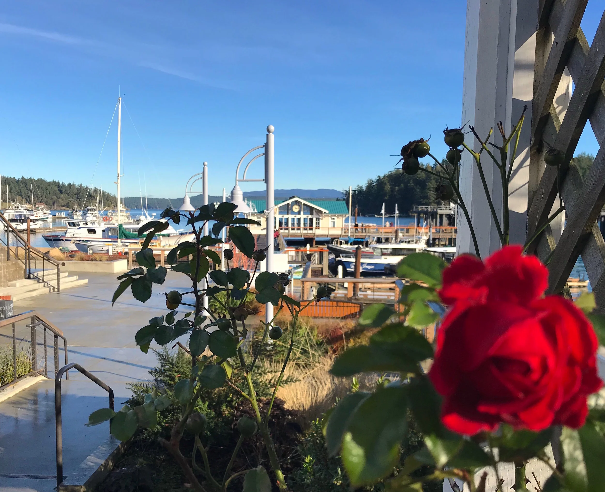 3 of the Most Romantic Restaurants in Friday Harbor