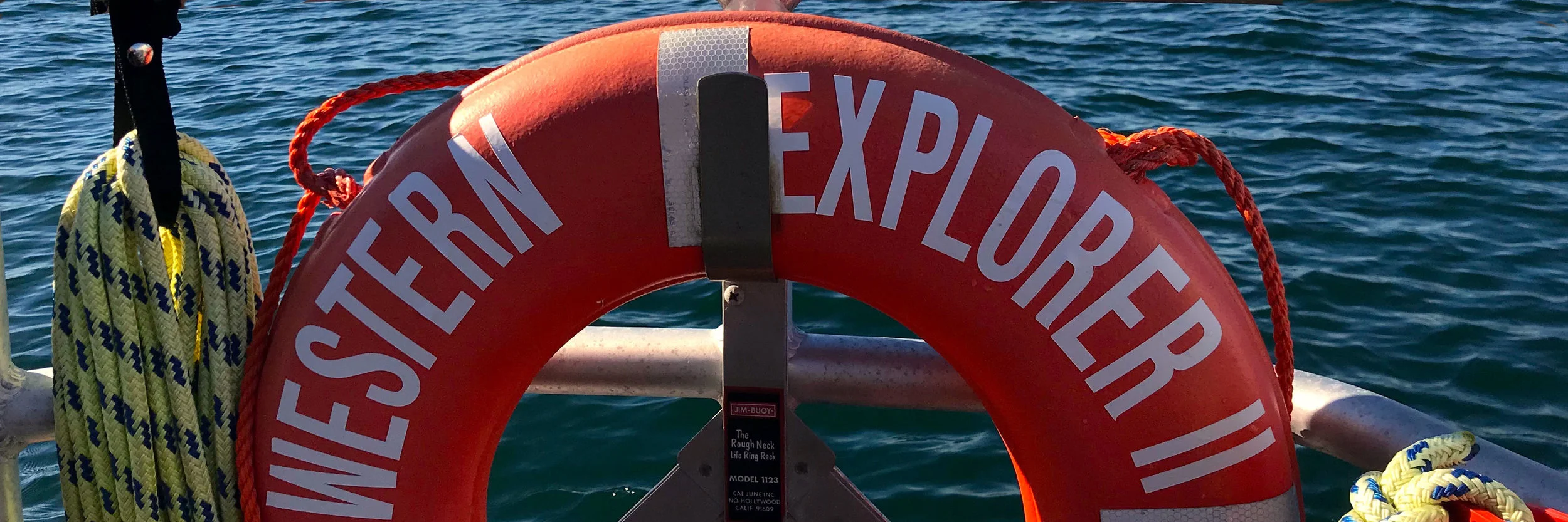 Spectacular Whale &amp; Wildlife Tour with the Western Explorer