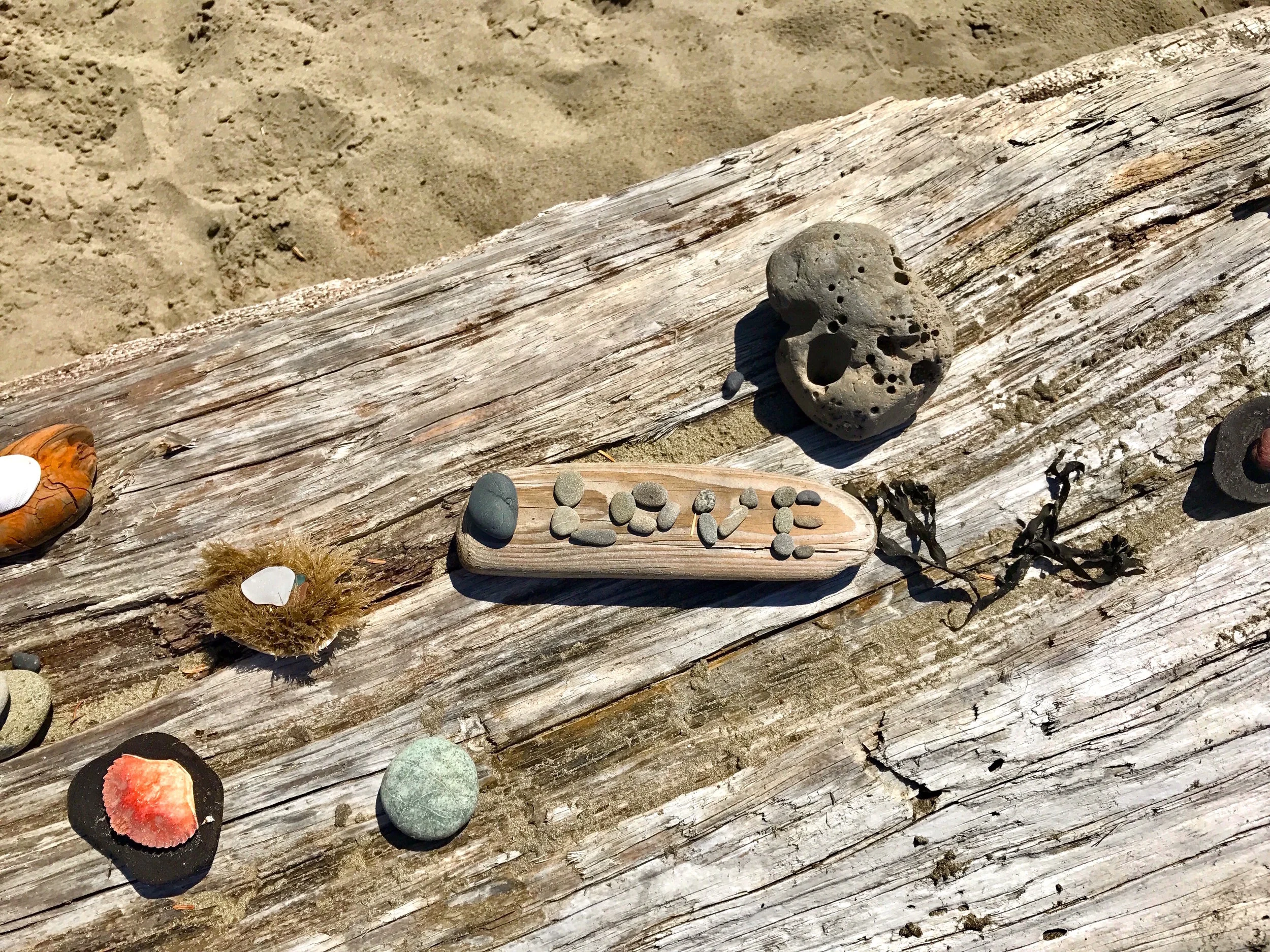 Hannah &amp; Kate’s Beach Wedding on San Juan Island