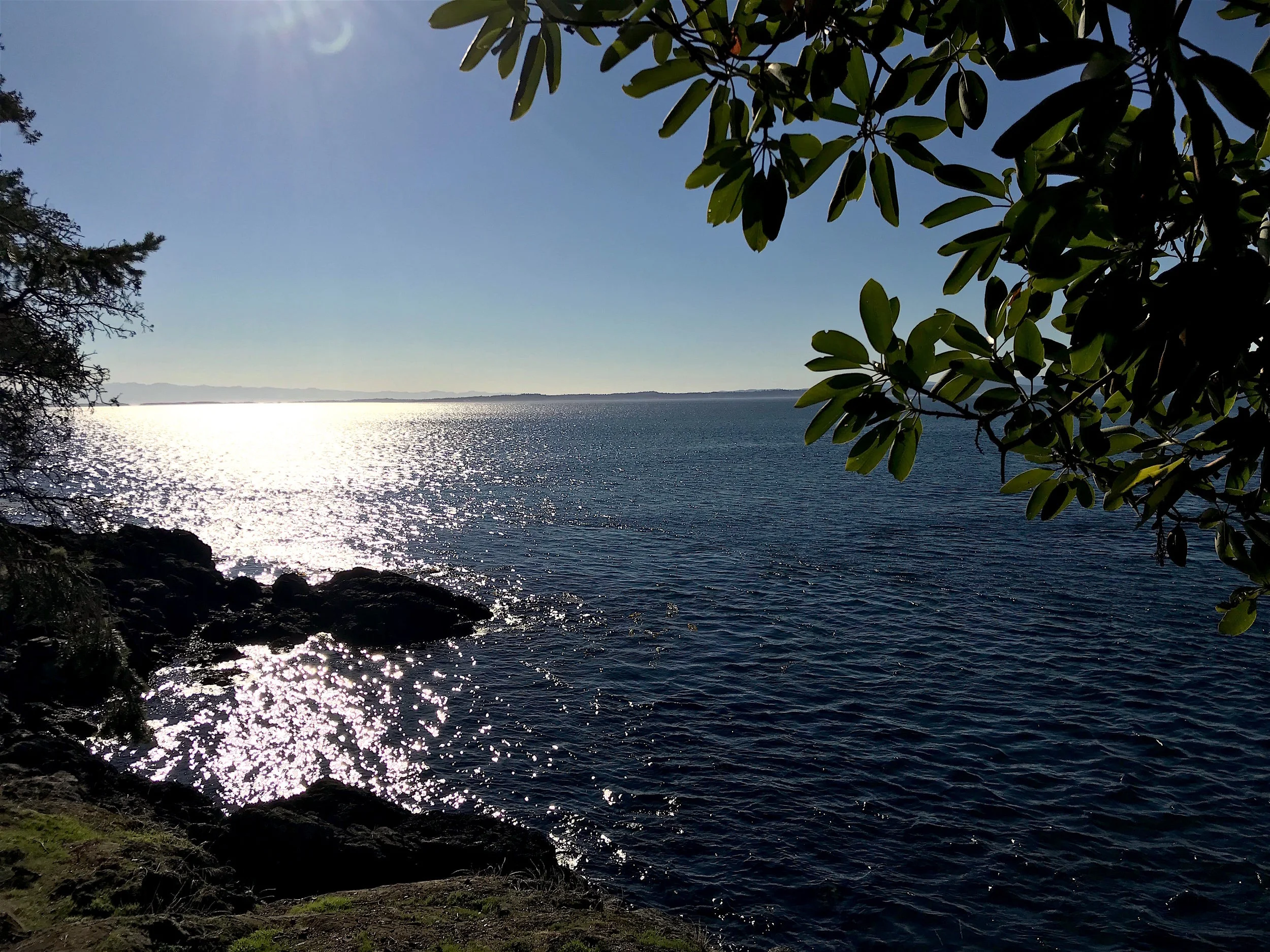 5 of the Most Awe-Inspiring Hikes on San Juan Island