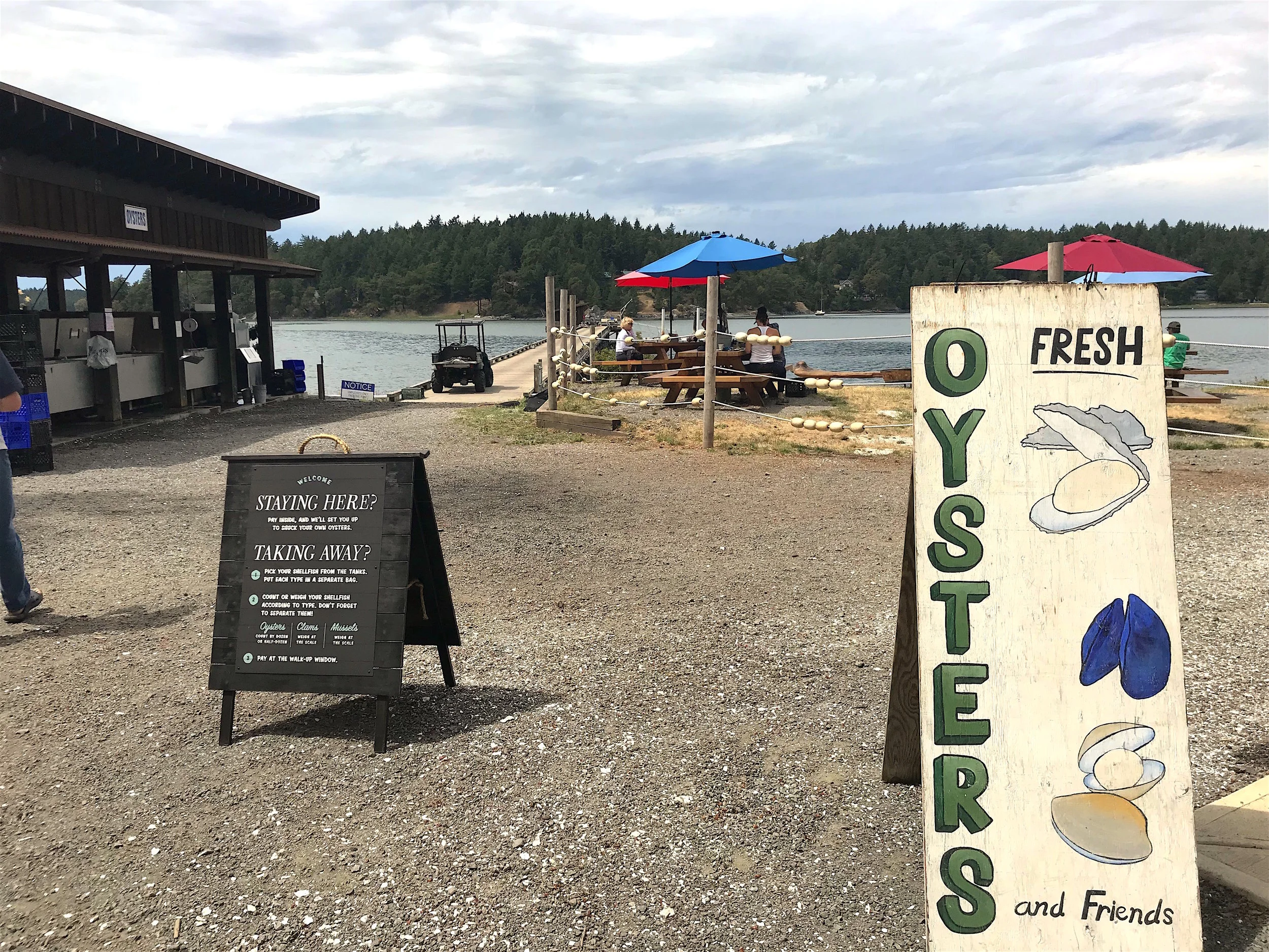 3 Most Unusual Farms to visit on San Juan Island