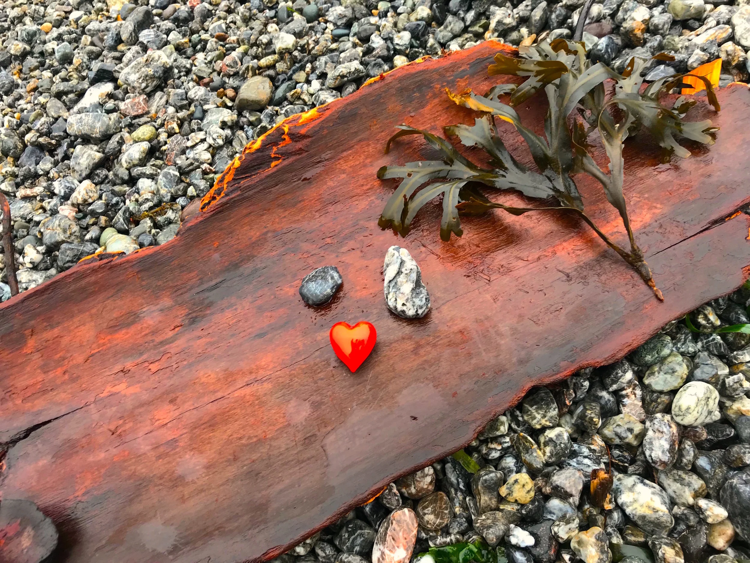 Leave secret little treats on the beach trail for the kids to find
