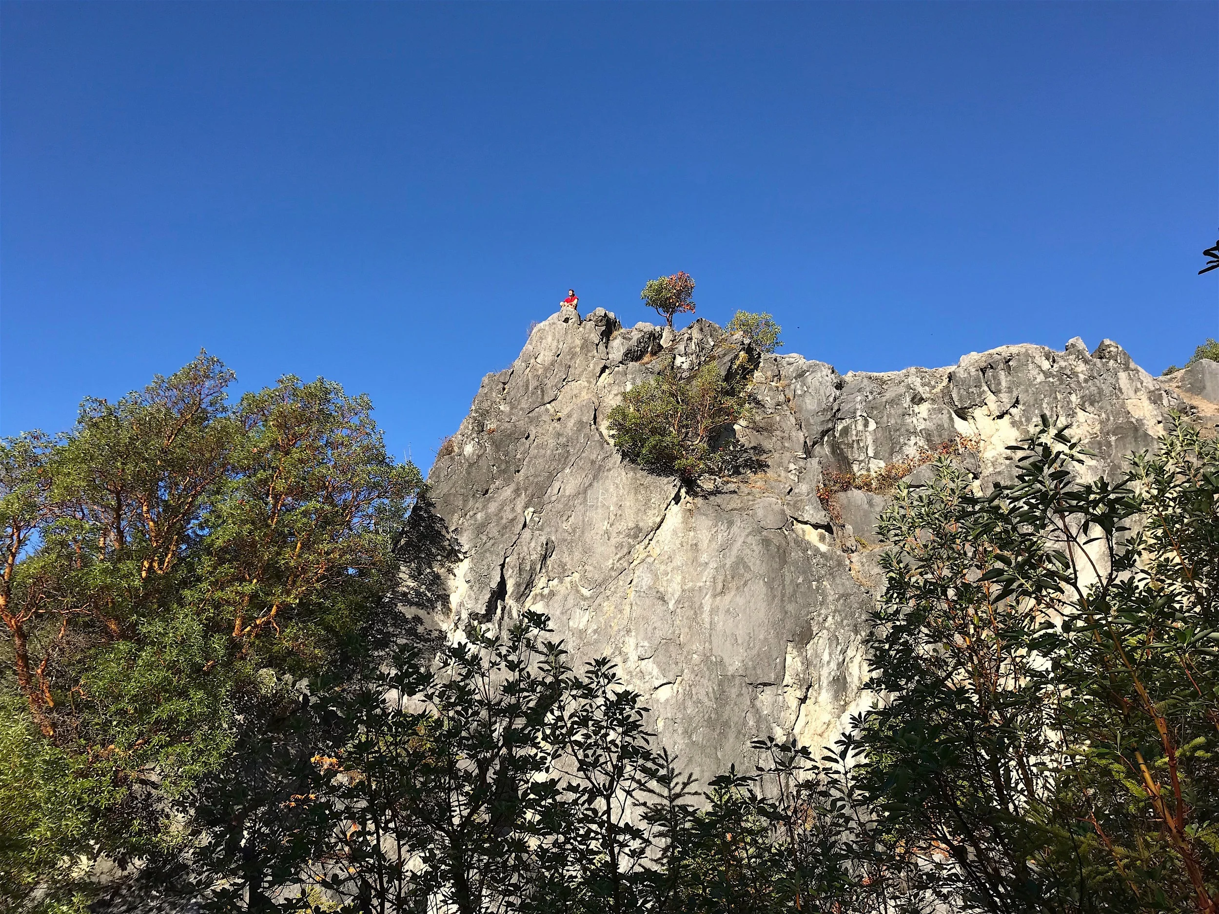 Go Where You Feel Most Alive!