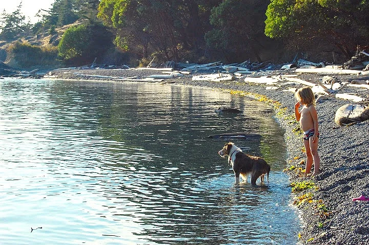 5 Best Places to Go Swimming on San Juan Island