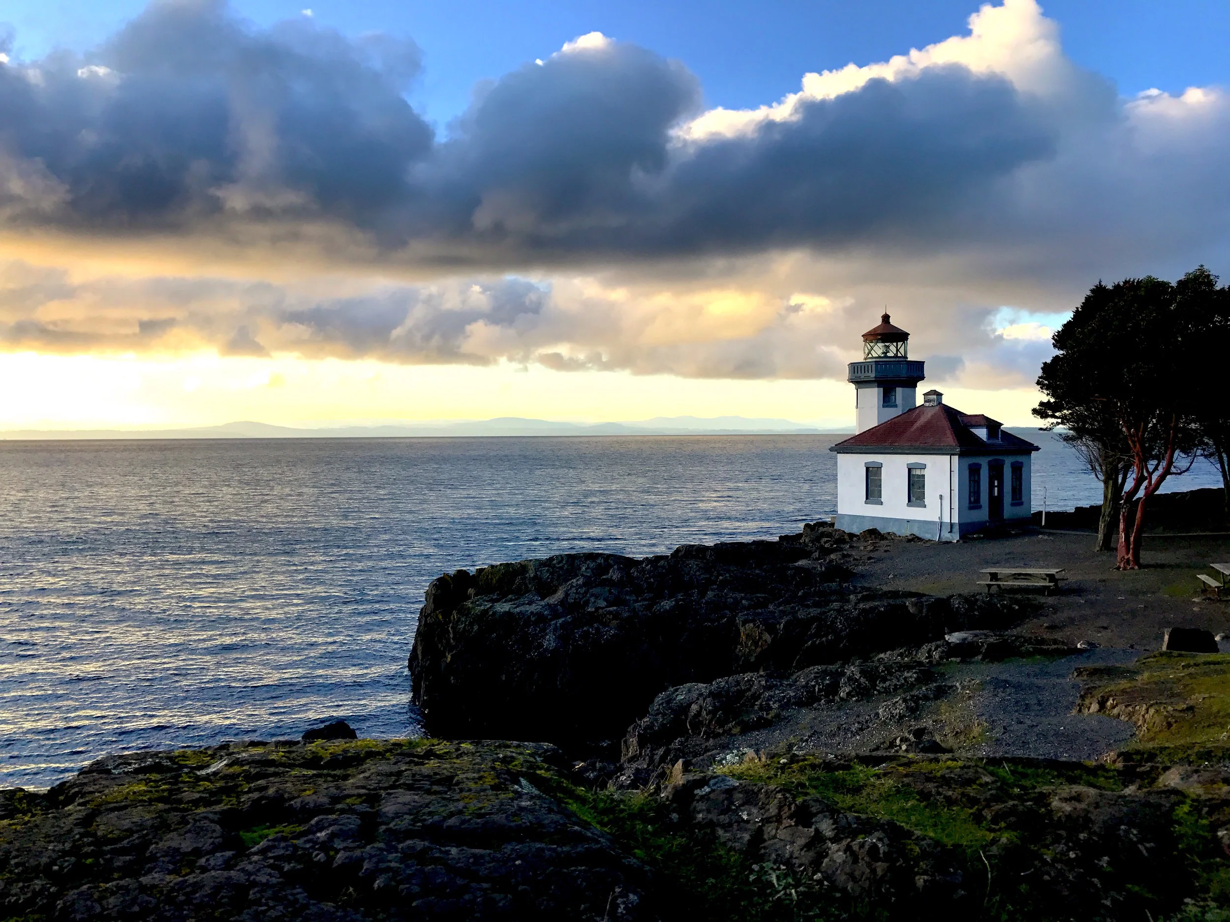 3 Totally Cool, Non-invasive Ways to observe Whales &amp; Wildlife on San Juan Island