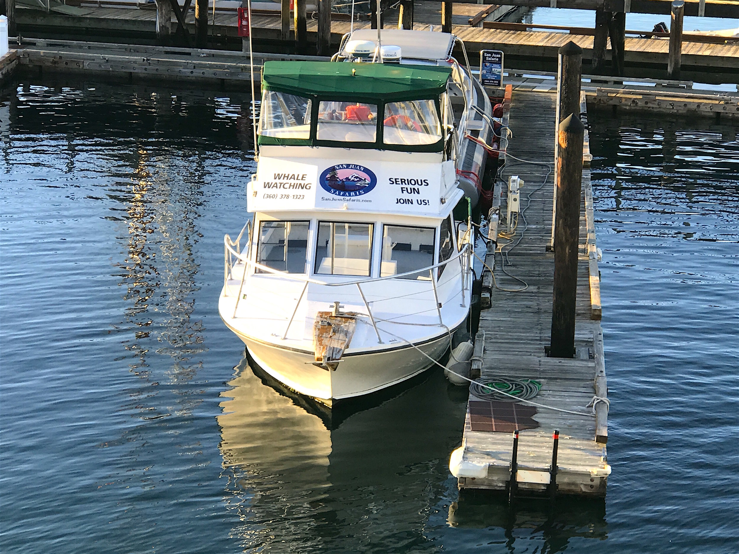 San Juan Safaris’ Sea Lion by the Friday Harbor Ferry Dock