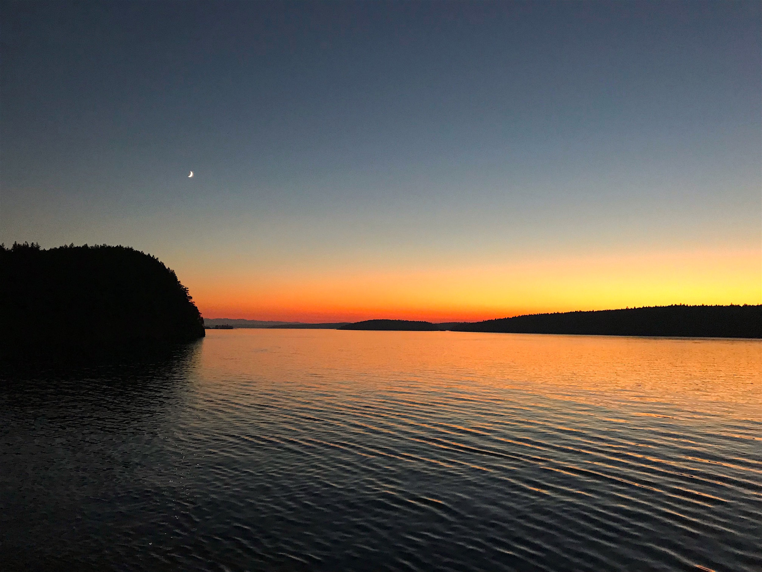 How to Plan a Solo Trip to San Juan Island