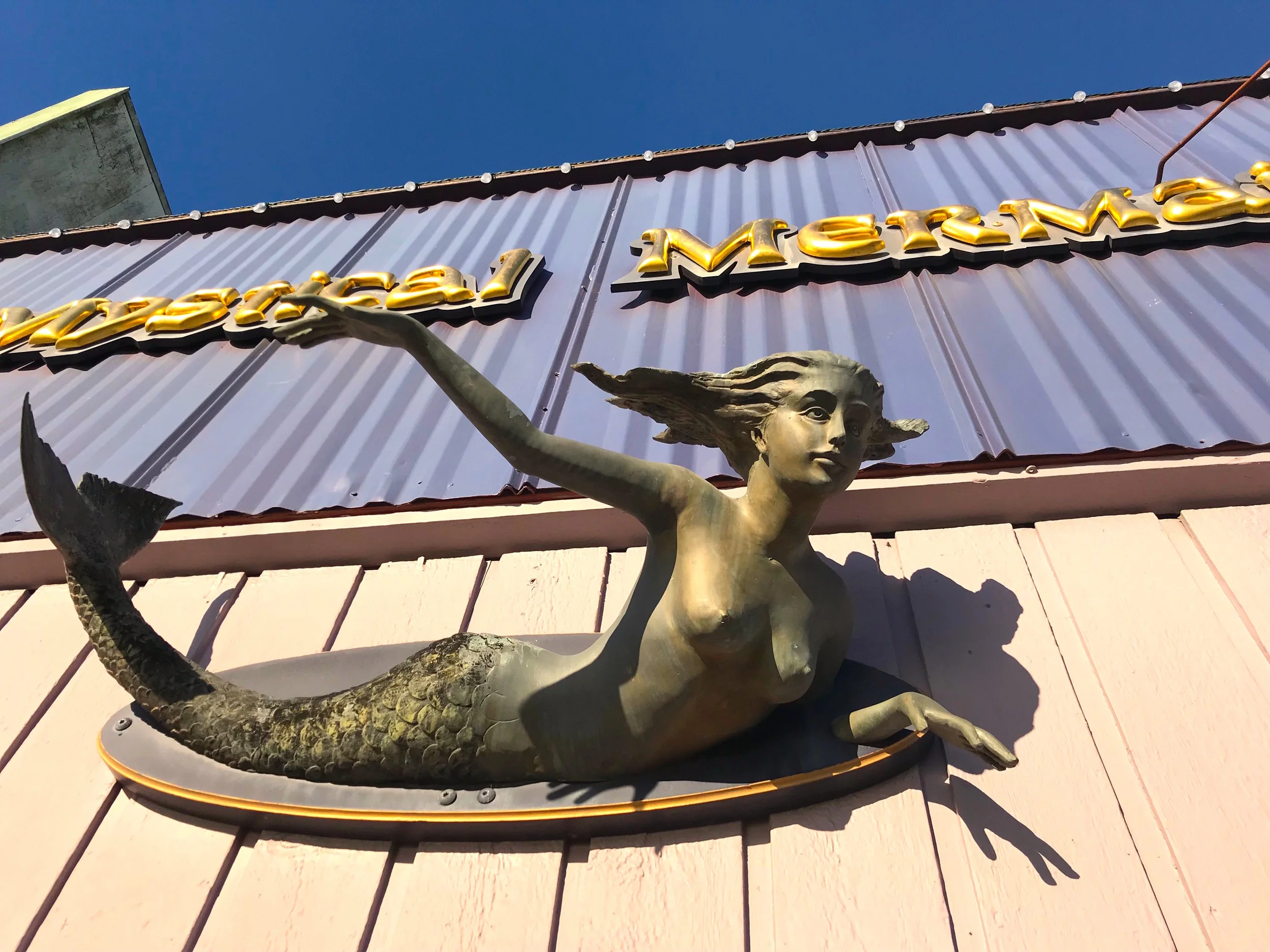 10 Best Places to Shop in Friday Harbor