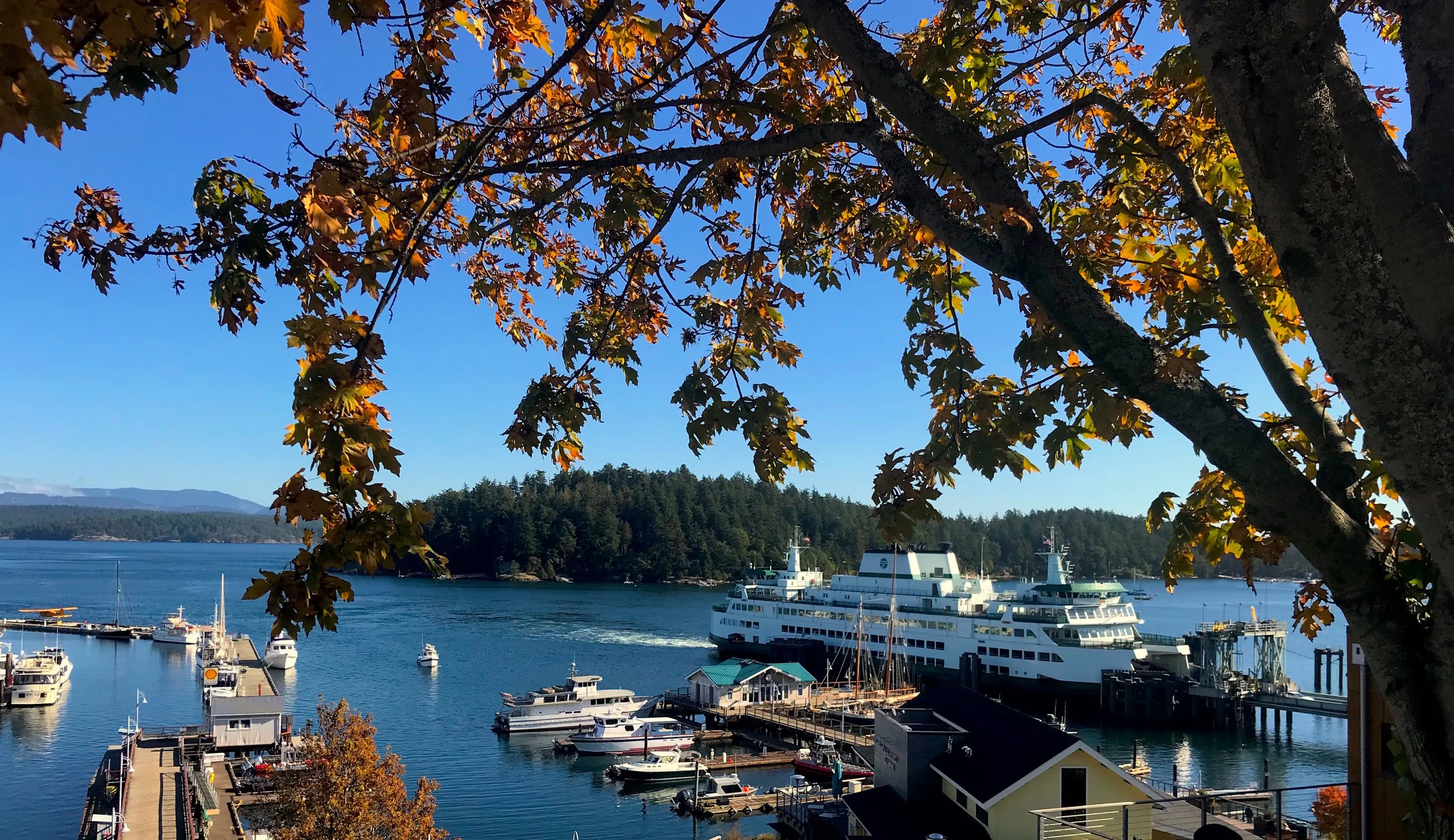 Your Guide to Visiting San Juan Island on a Budget