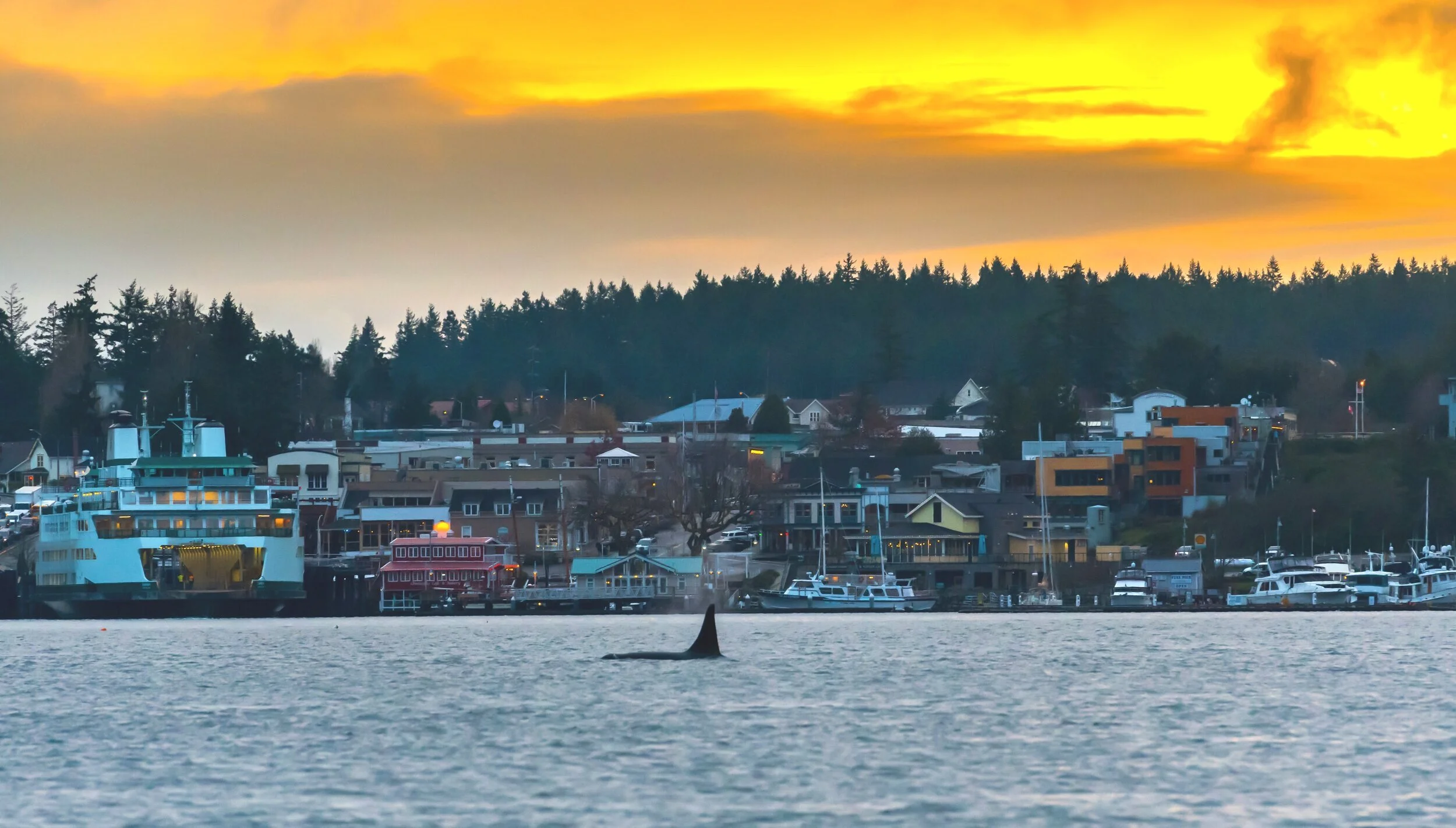 Secret Season Getaway to San Juan Island