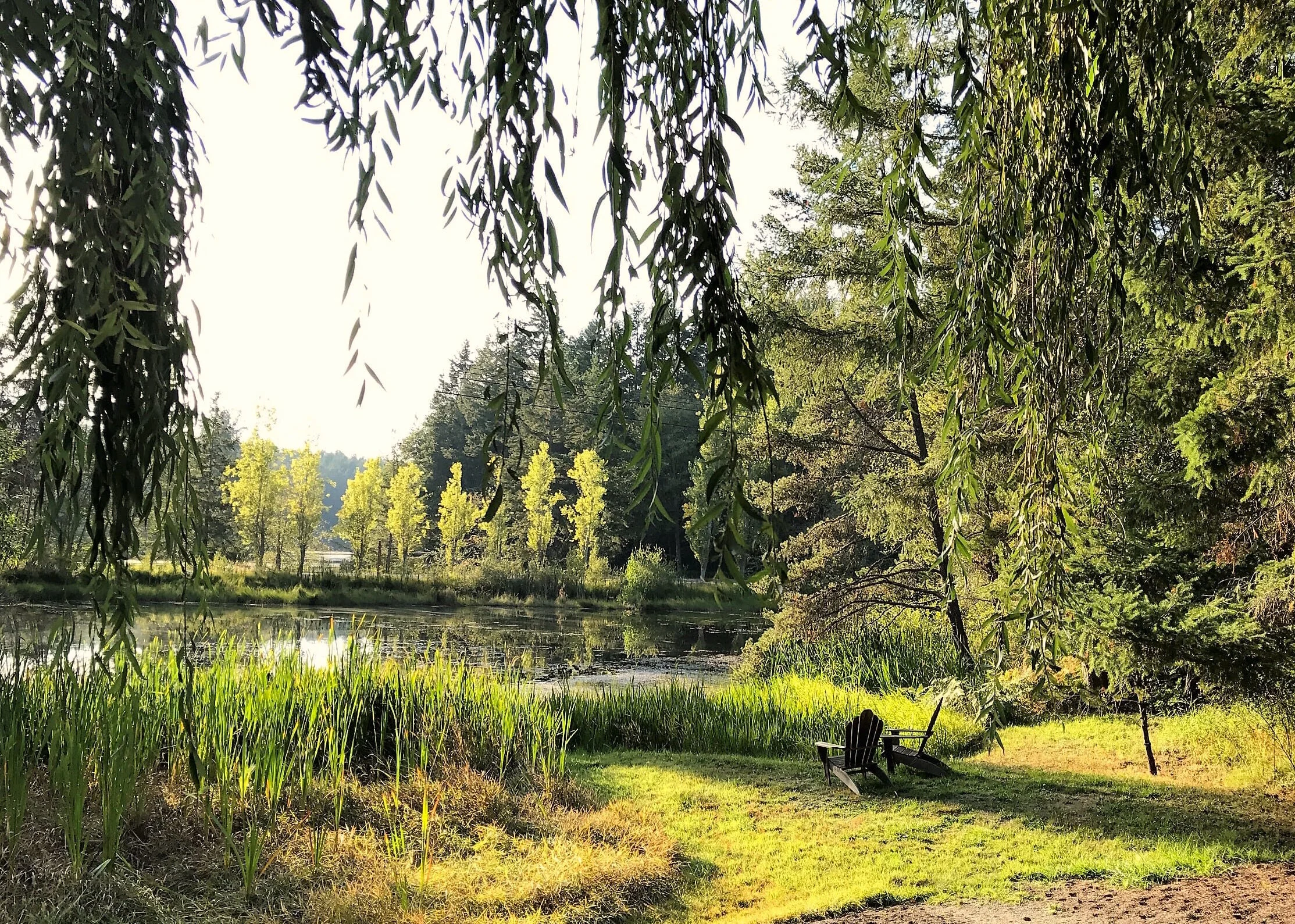 Duck Soup has been serving locally sourced and foraged food for over 40 years