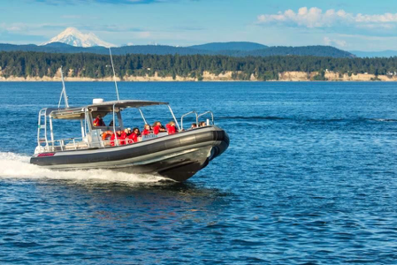 Top 7 Things to Do on San Juan Island