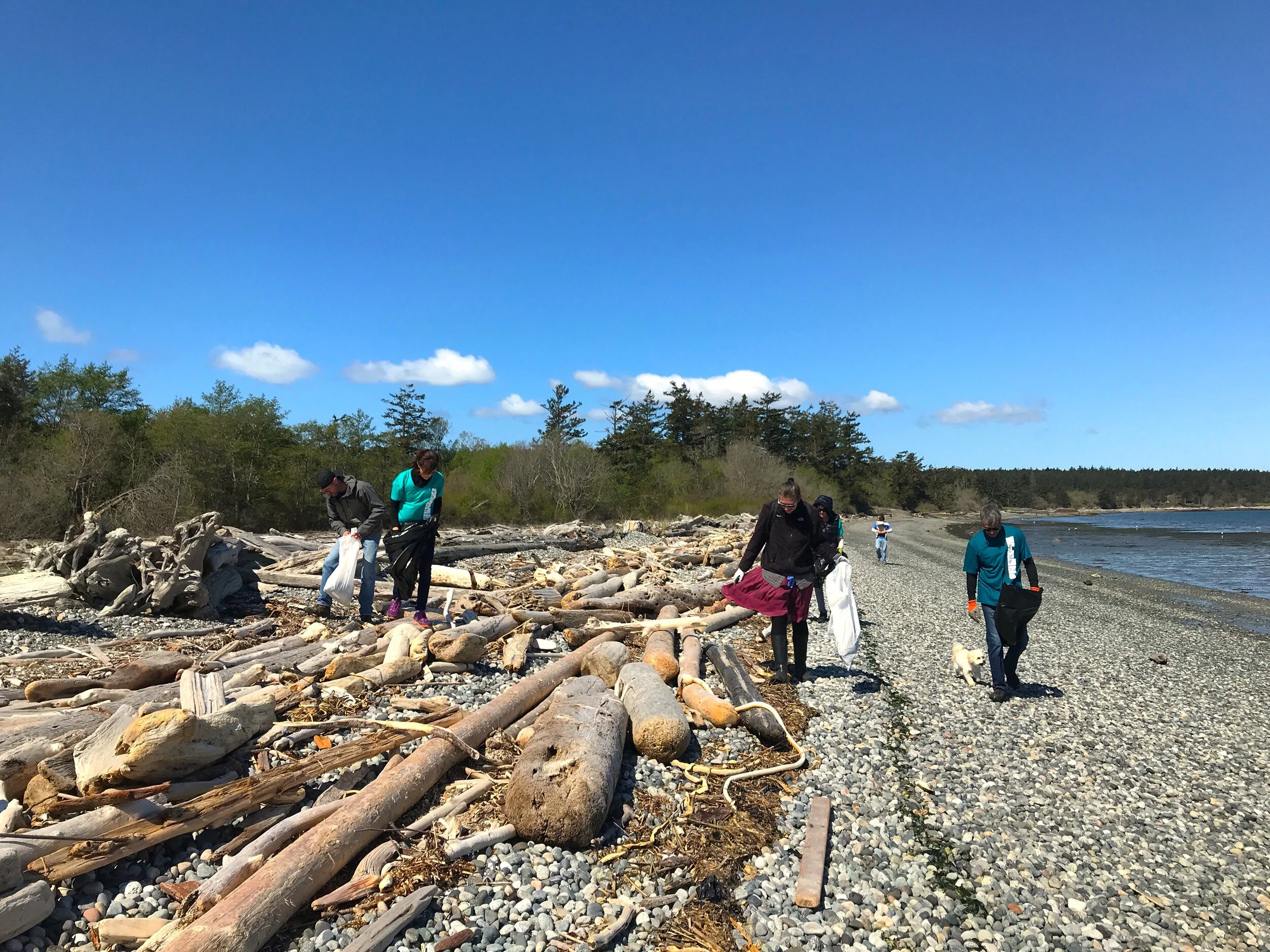 Earth Day on San Juan Island