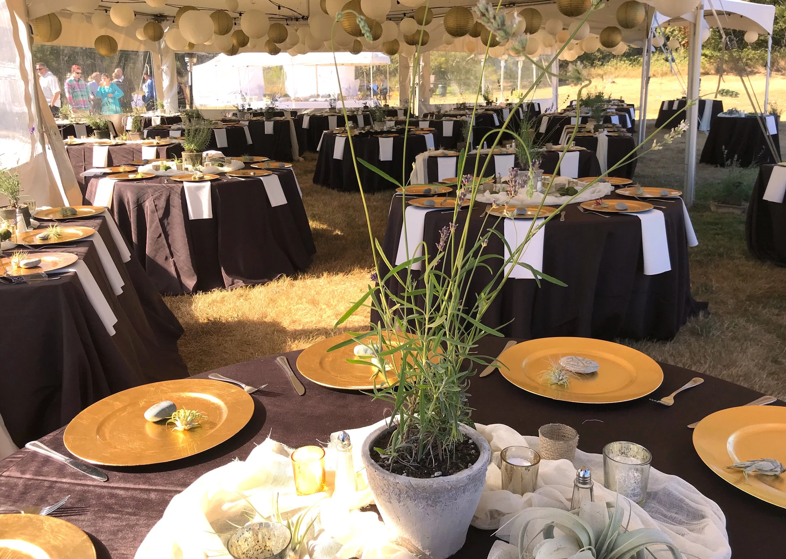 10 Amazing Insider Tips for Your Outdoor Wedding Reception on San Juan Island