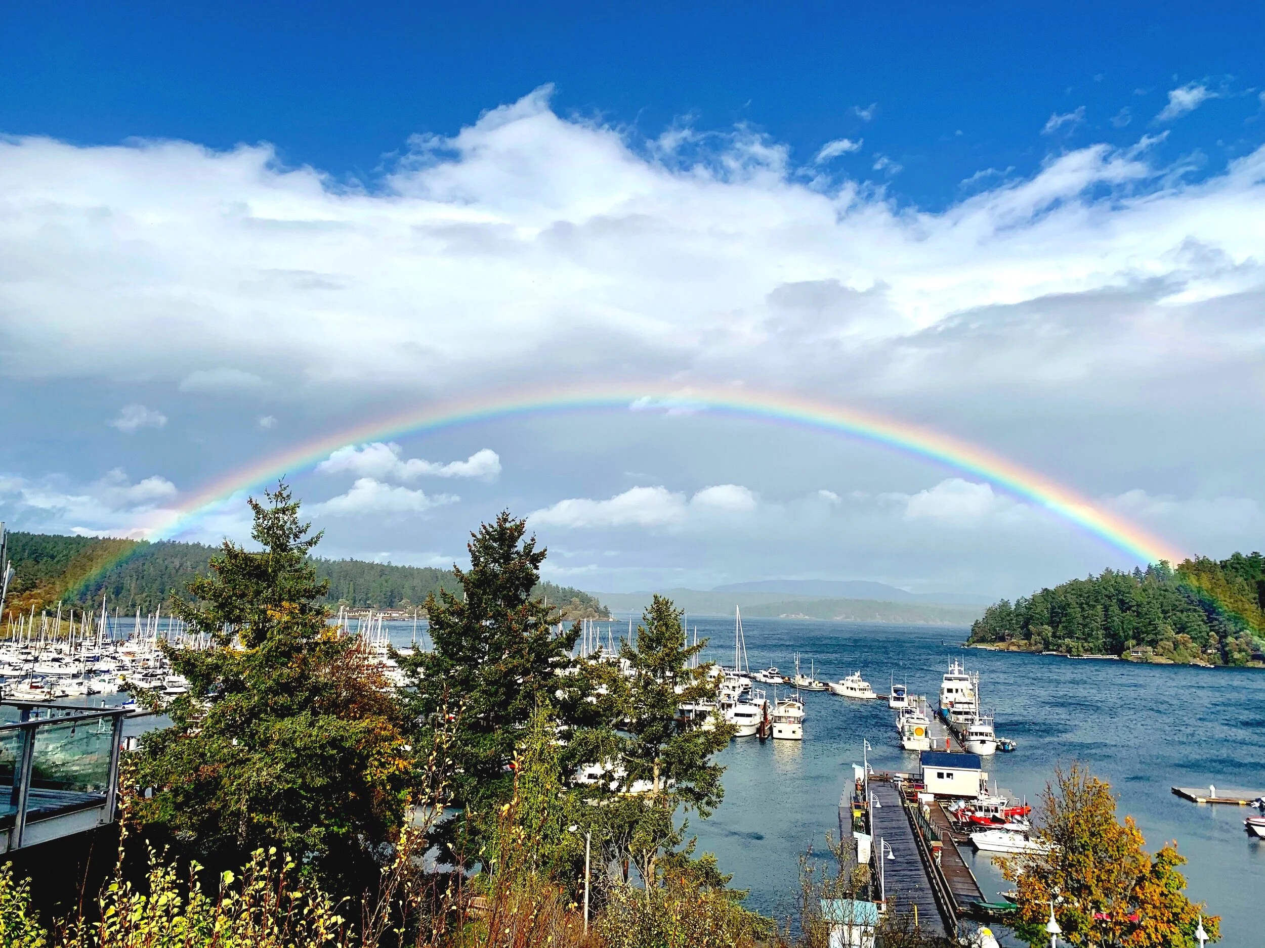 Picturesque Autumn Escape to San Juan Island