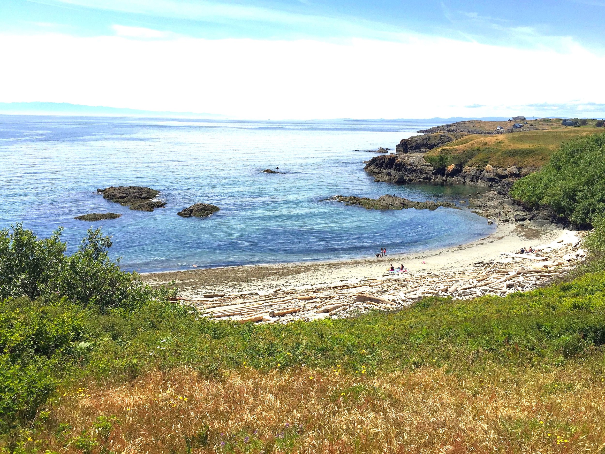 San Juan Island 5-2016 225_0.jpeg