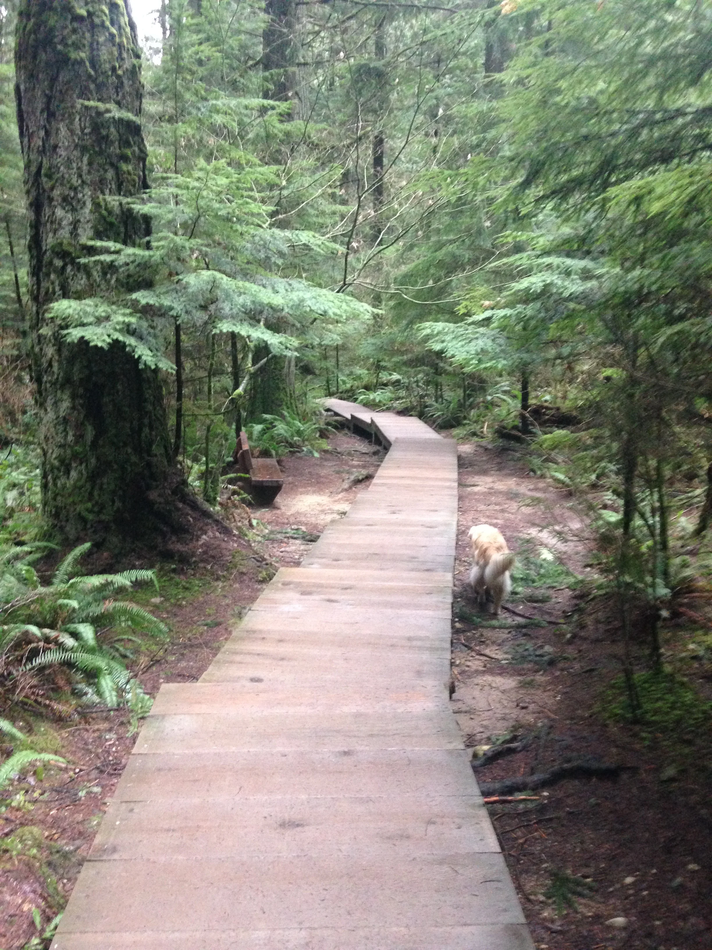 How being curious will make your life better - Part 1