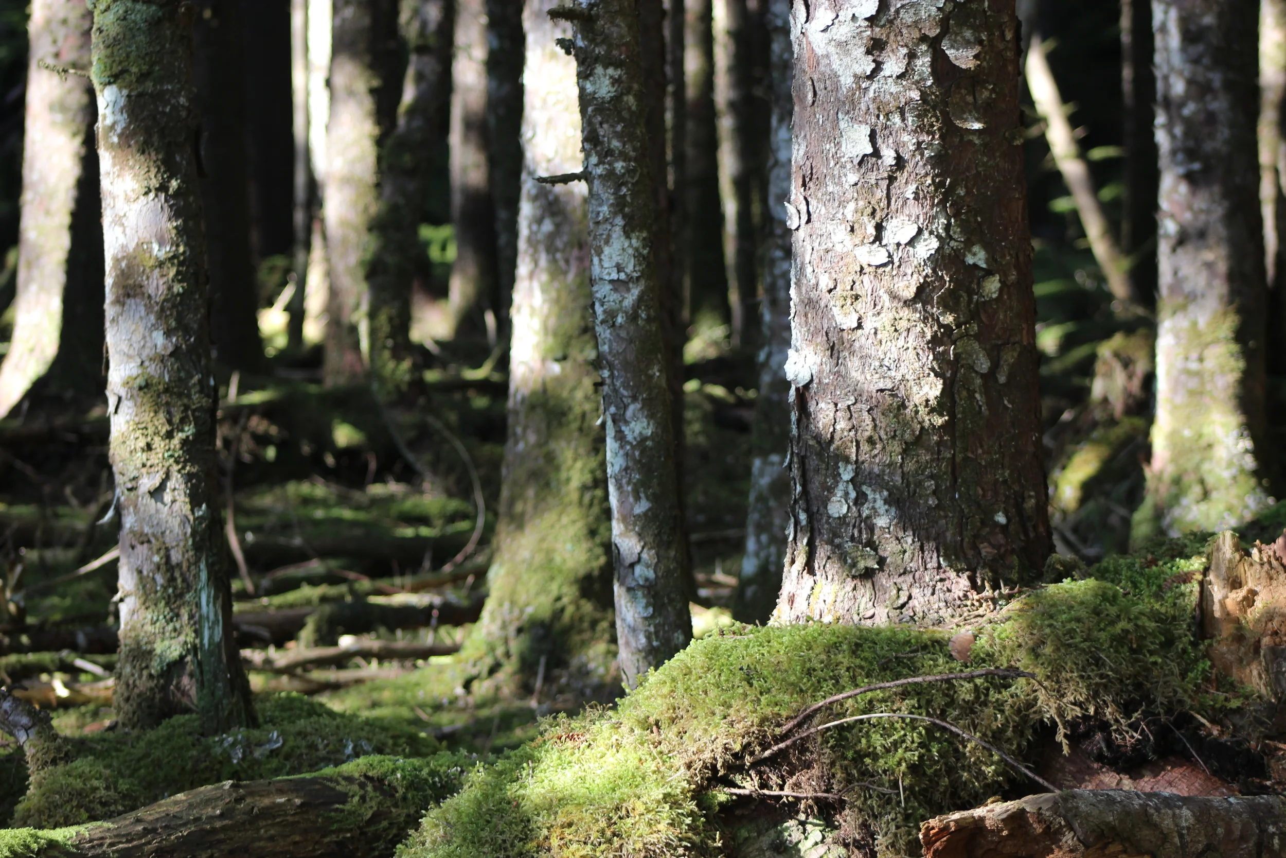 Why Be Curious - Part 2