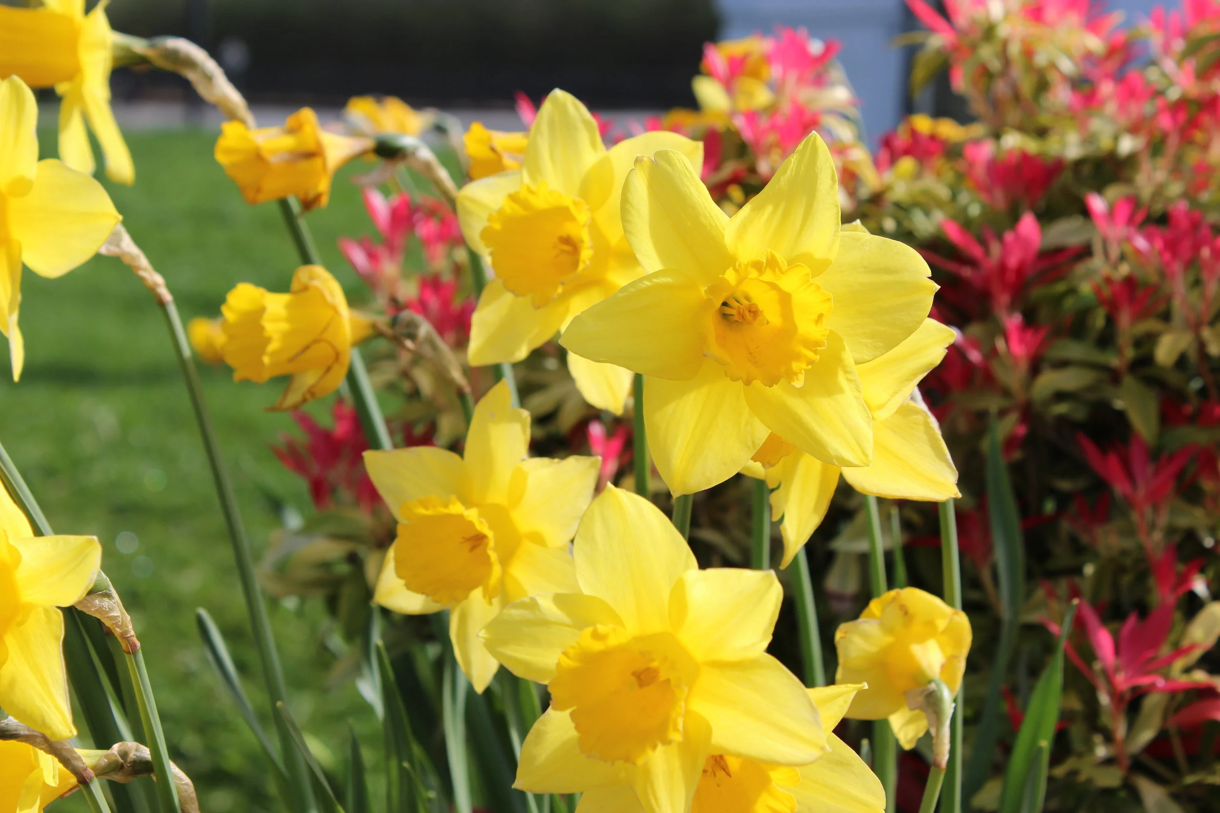 Changing our story around death 