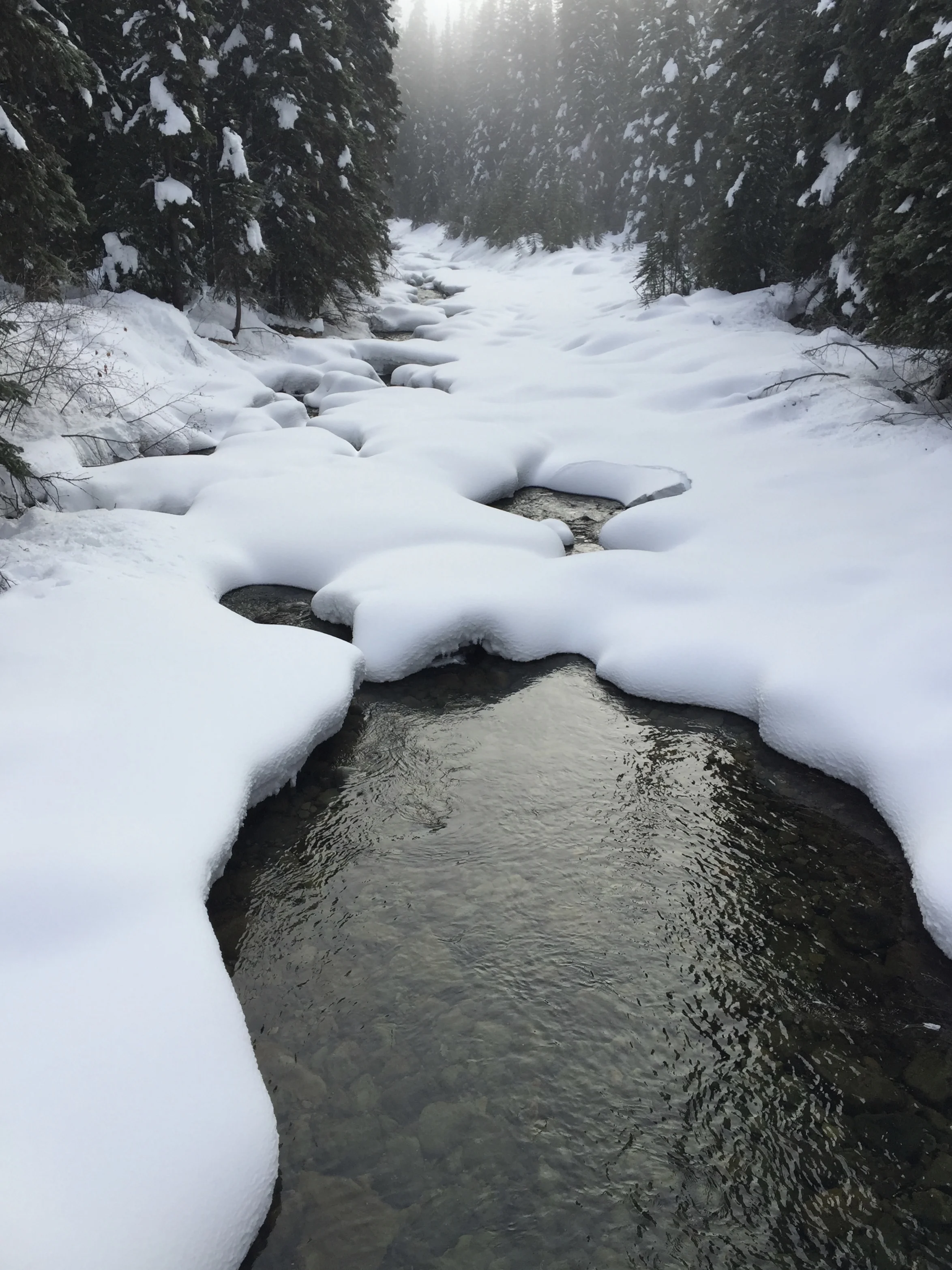 One of my favourite rituals 