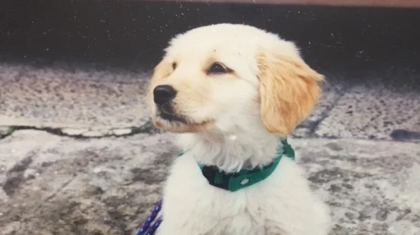 The Greatest Teachers...