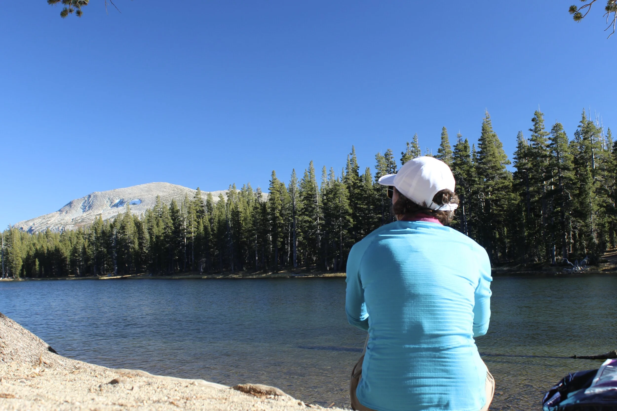 What I'm noticing...