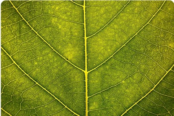 I want deeper connections… Do you?