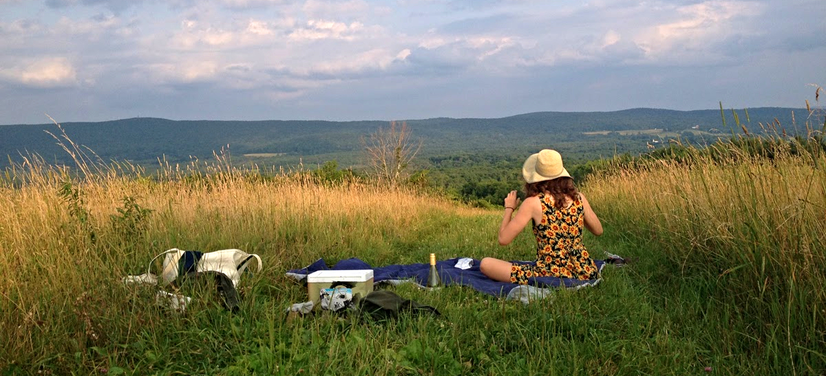 Tad Ames - picnic at hollow fields.jpg