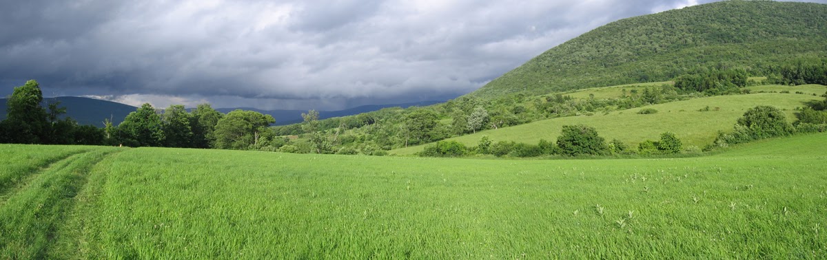 Tad  Ames - farm stormy sky.jpg