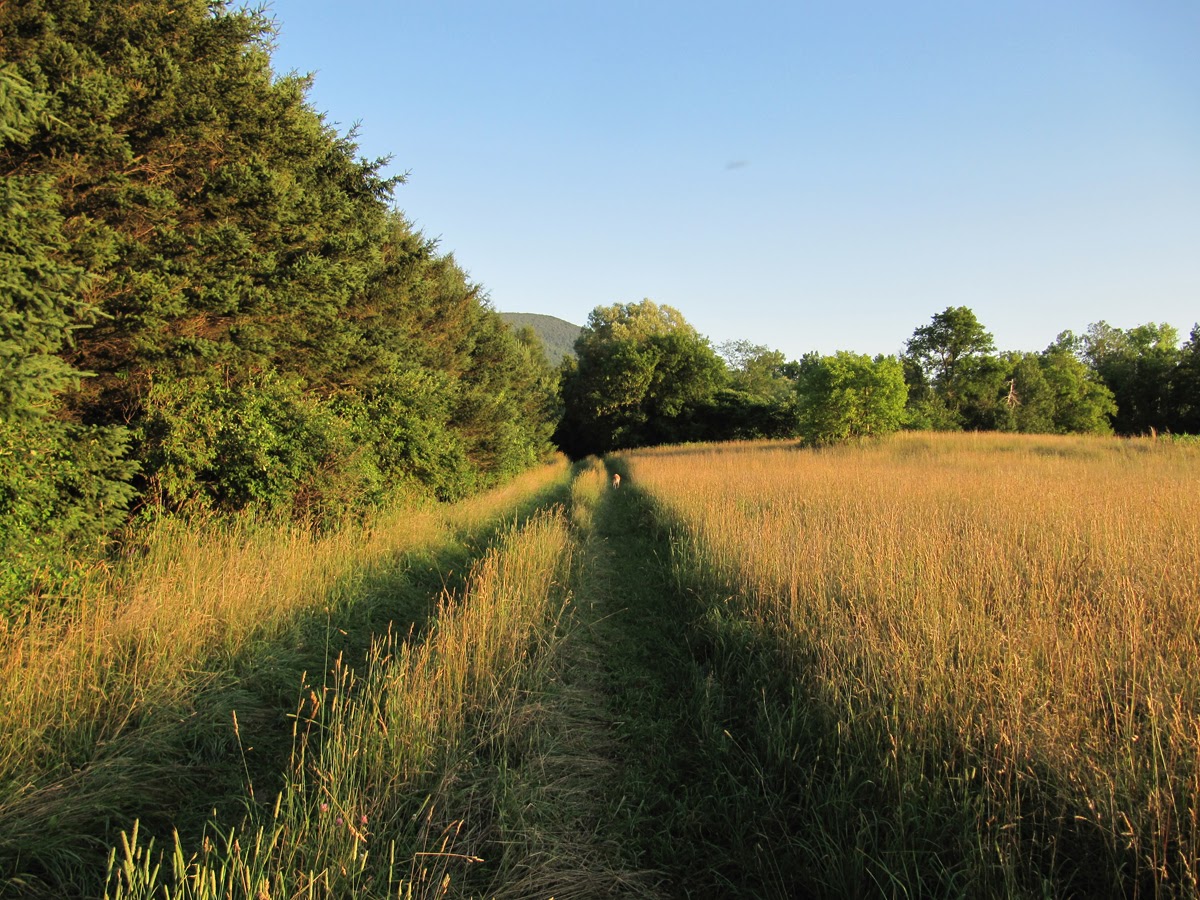 Tad  Ames - farm late light.jpg