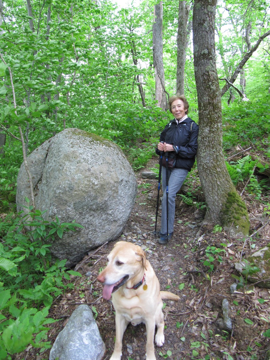 Tad  Ames - hiker dog boulder.jpg