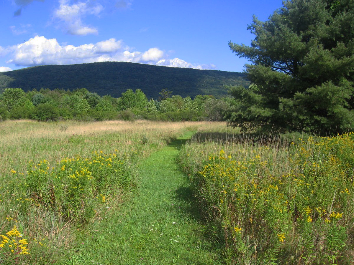 Tad  Ames - hallowell meadows.jpg