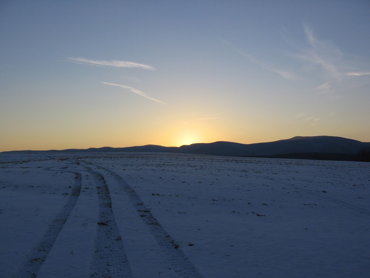 Tad  Ames - sunset open field sky.jpg