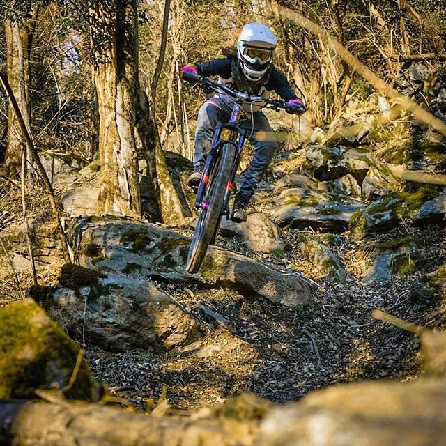 @nicht.janonym slamming though the woods on his #woodylight ginrims!
 #mtb #mtblife #ginrims #mountainbike #outdoors #skill #nature #pedal #carbonrims #trail #enduro #soenduro #allmountain #biketuning #downhill #pumptrack #outdoors #ginrims #ginexper