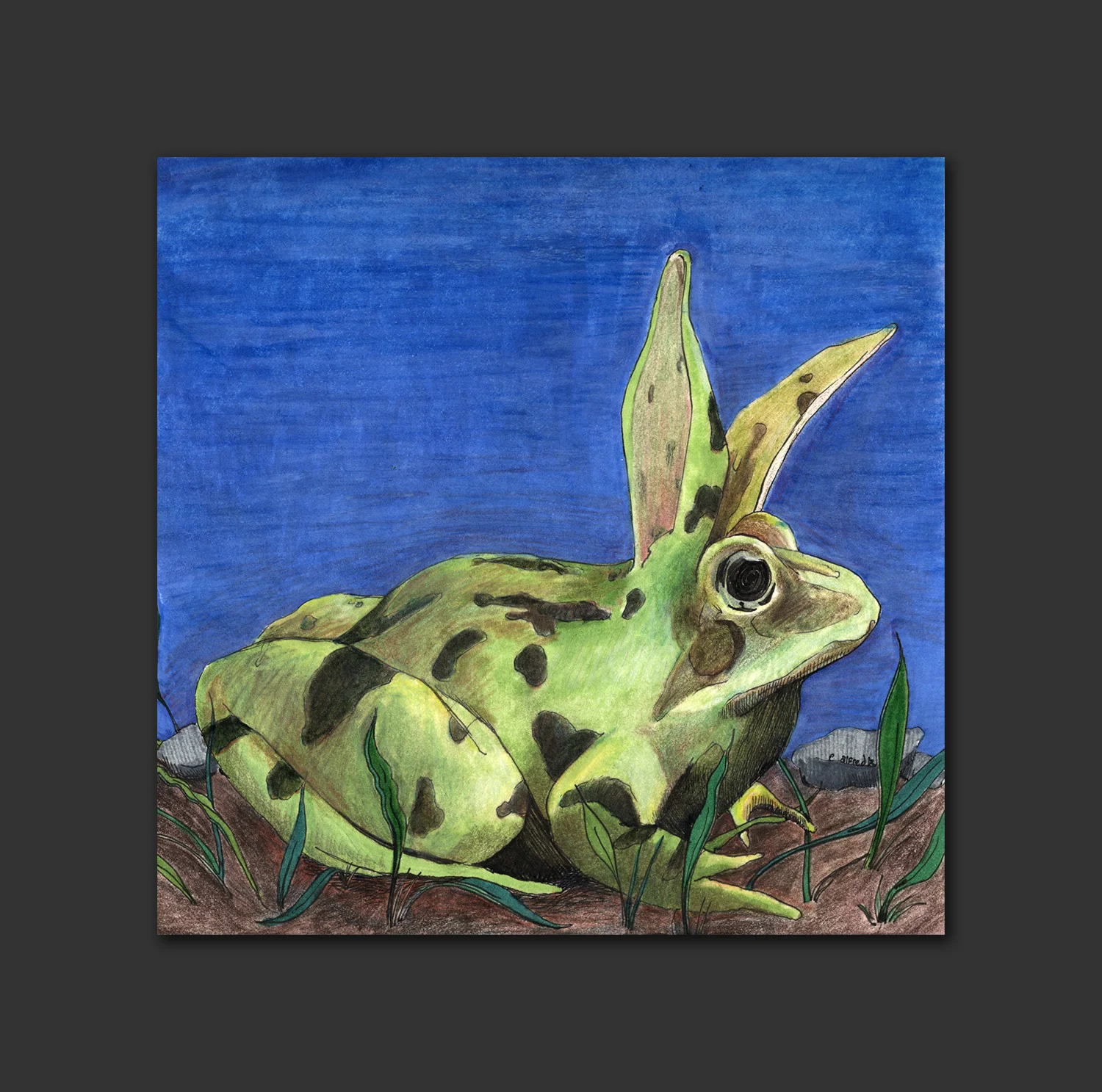 Ribbit Rabbit
