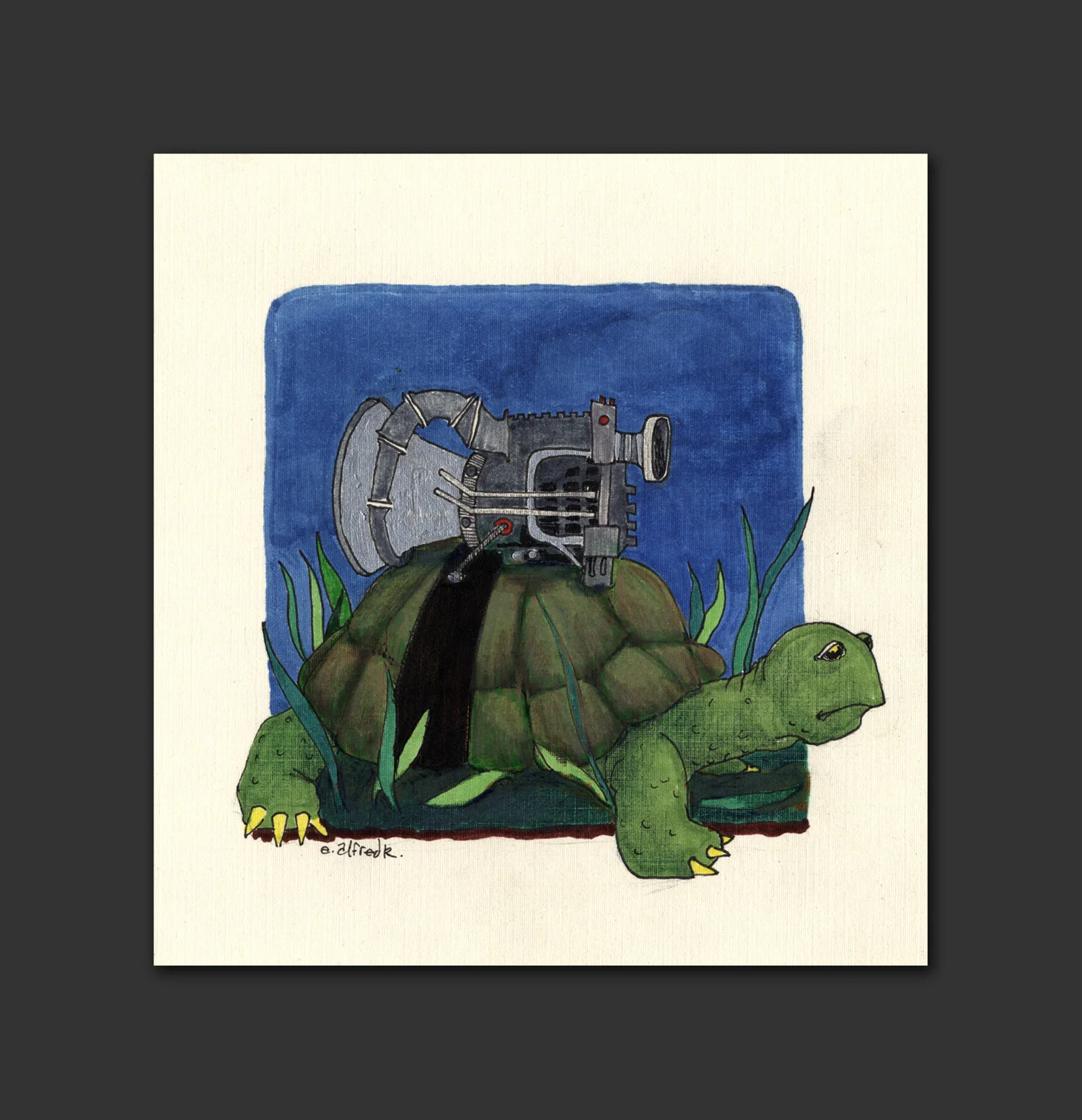 The Story Of The Turtle And The Hare #1