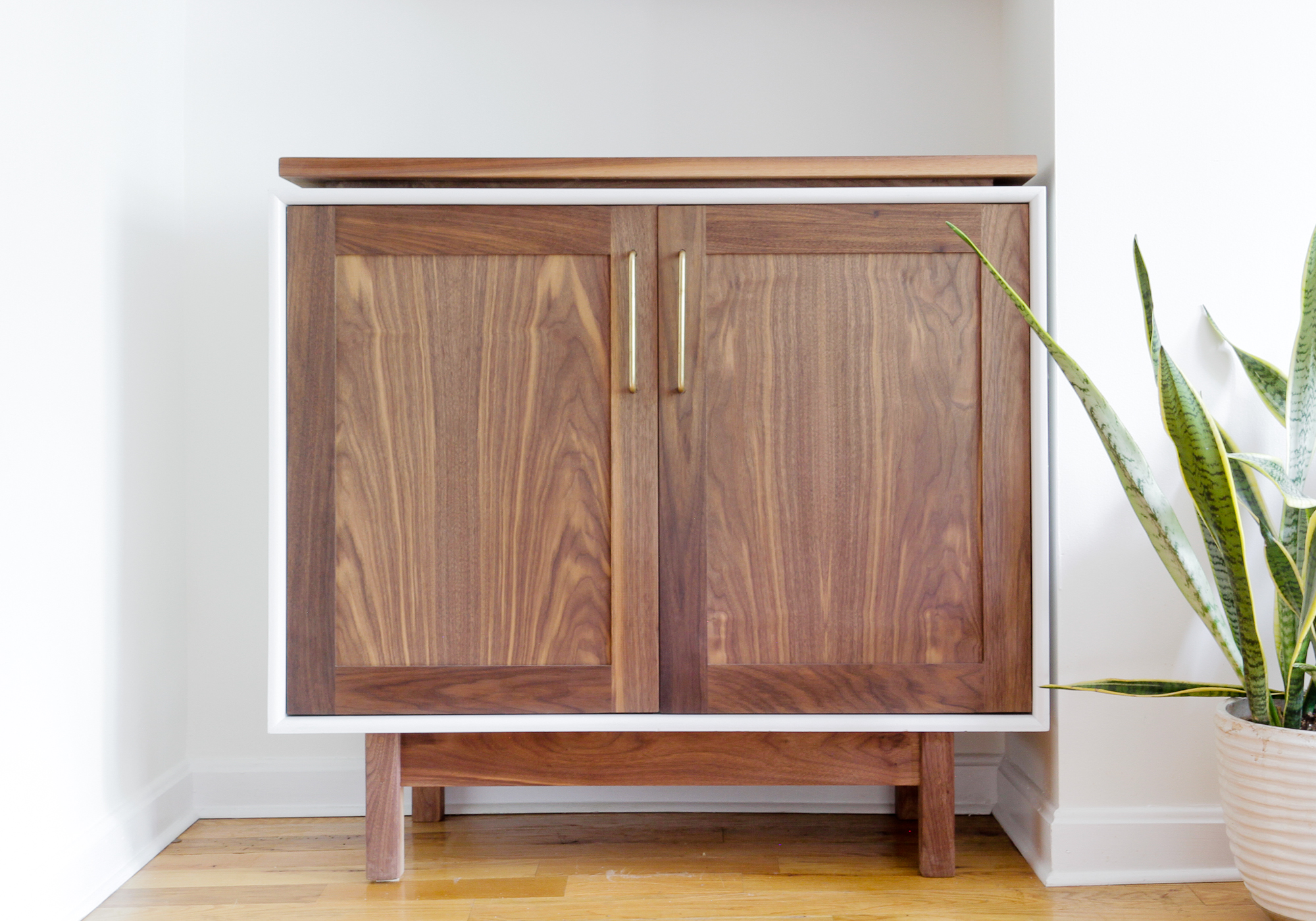wizner cabinet.jpg