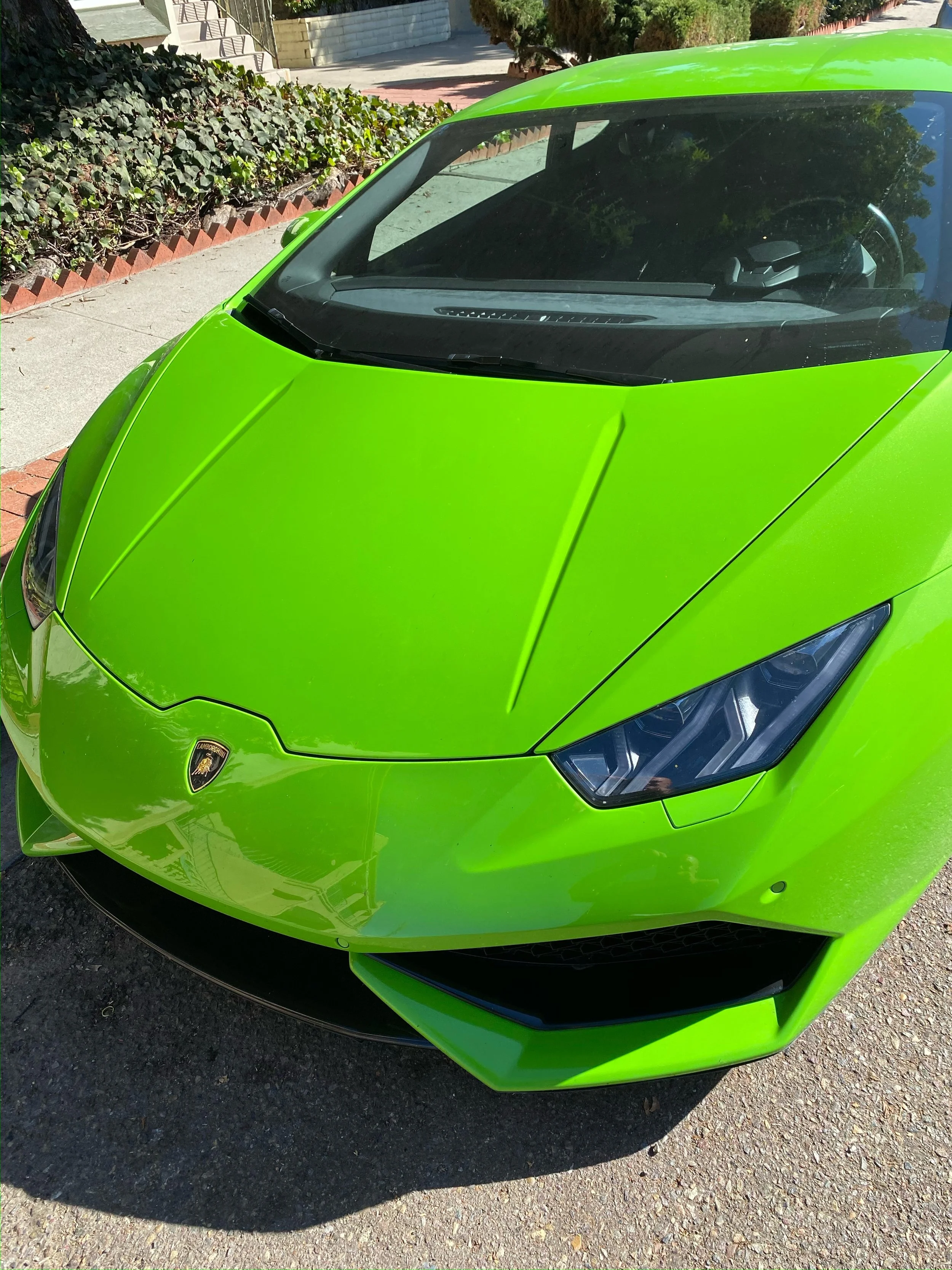 lambo 3.JPEG