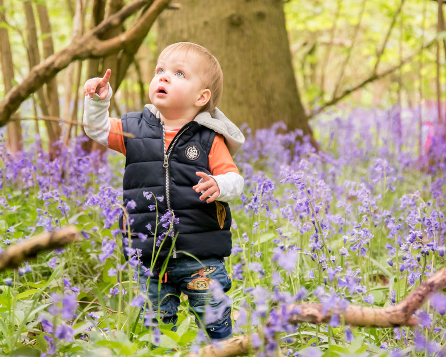 Baby_photography_Ely_Cambridgeshire-bluebell-wood-boy-looking-at-the-clouds.jpg