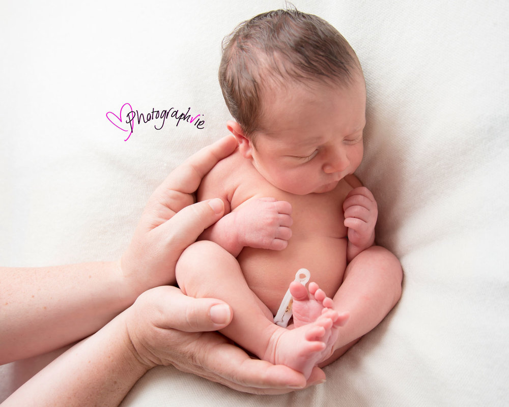Newborn_Baby_photography_Ely_Cambridgeshire-baby-finley-sleeping-in-mums-hands.jpg