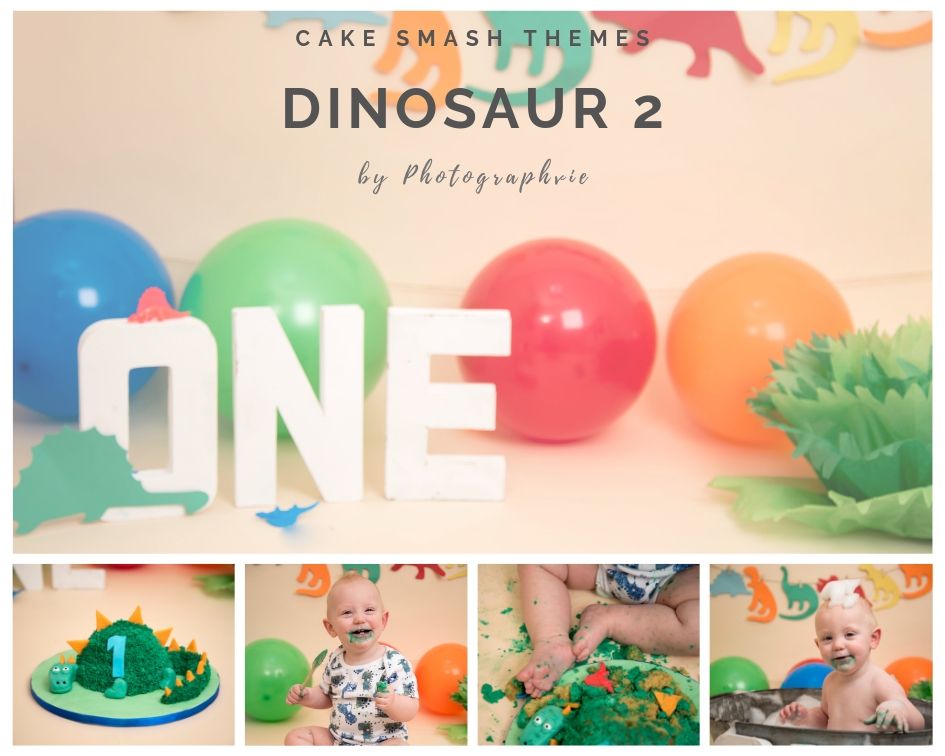 Dinosaur Cake Smash Photoshoot