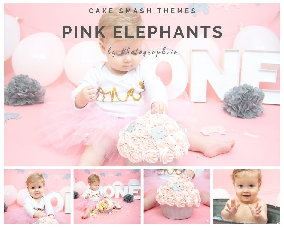 Pink Elephant Cake Smash Photoshoot