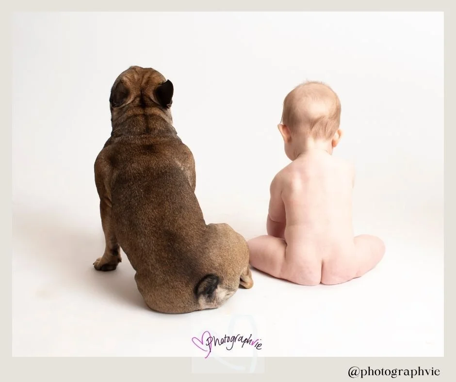 @photographvie Landscape photo of family baby and cake smash photographer CB7  - 2026-09-02T222456.543.jpg