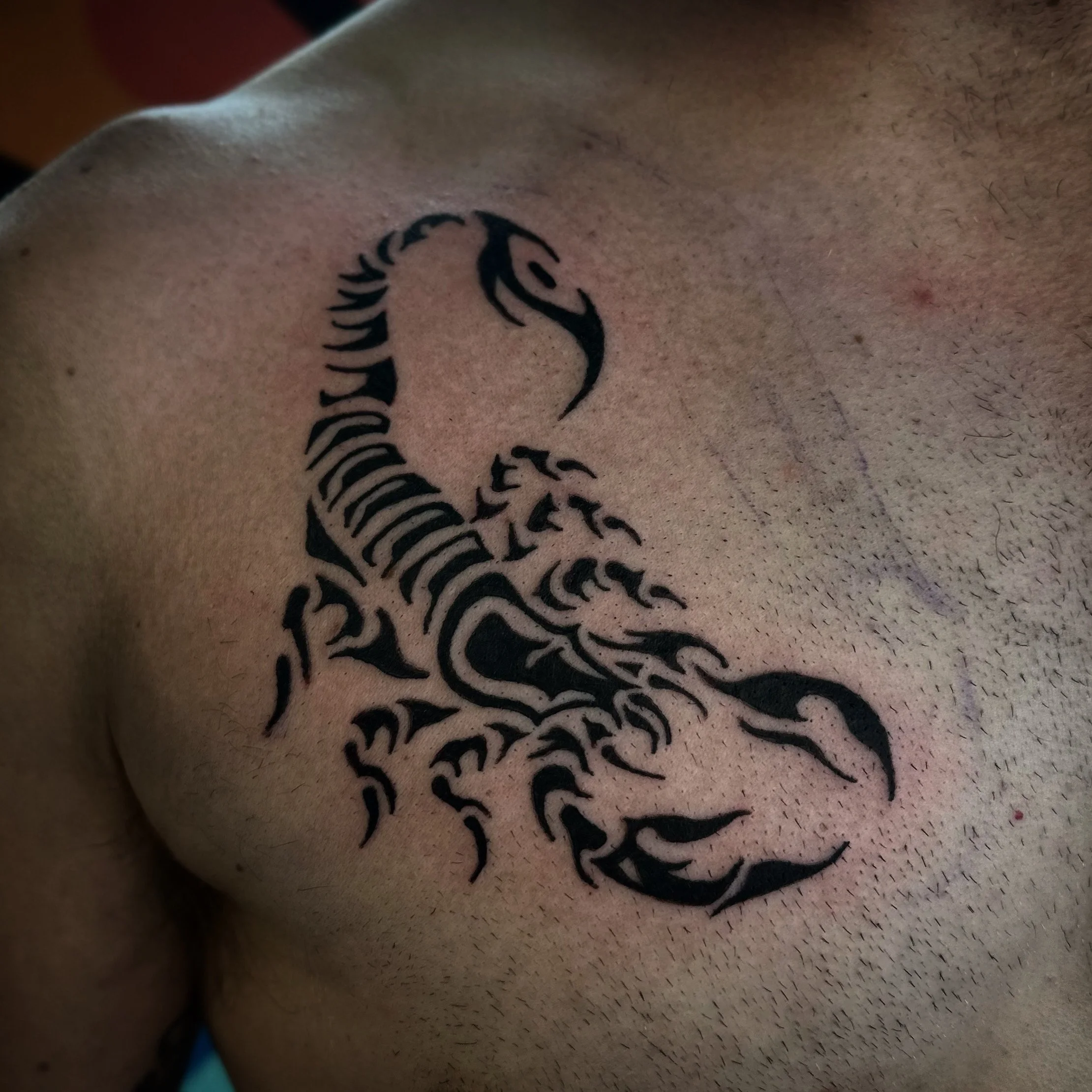 4CC6600C-C6E4-4AA3-9291-C5B29C01459A 2.JPG