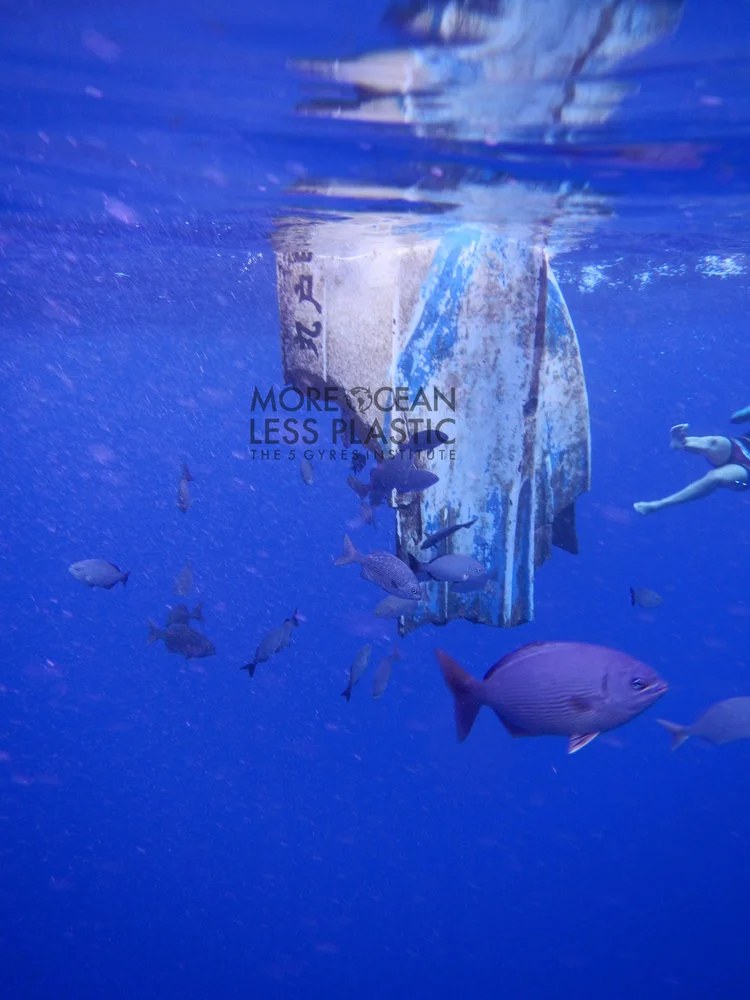 Photo by Stiv Wilson for 5 Gyres