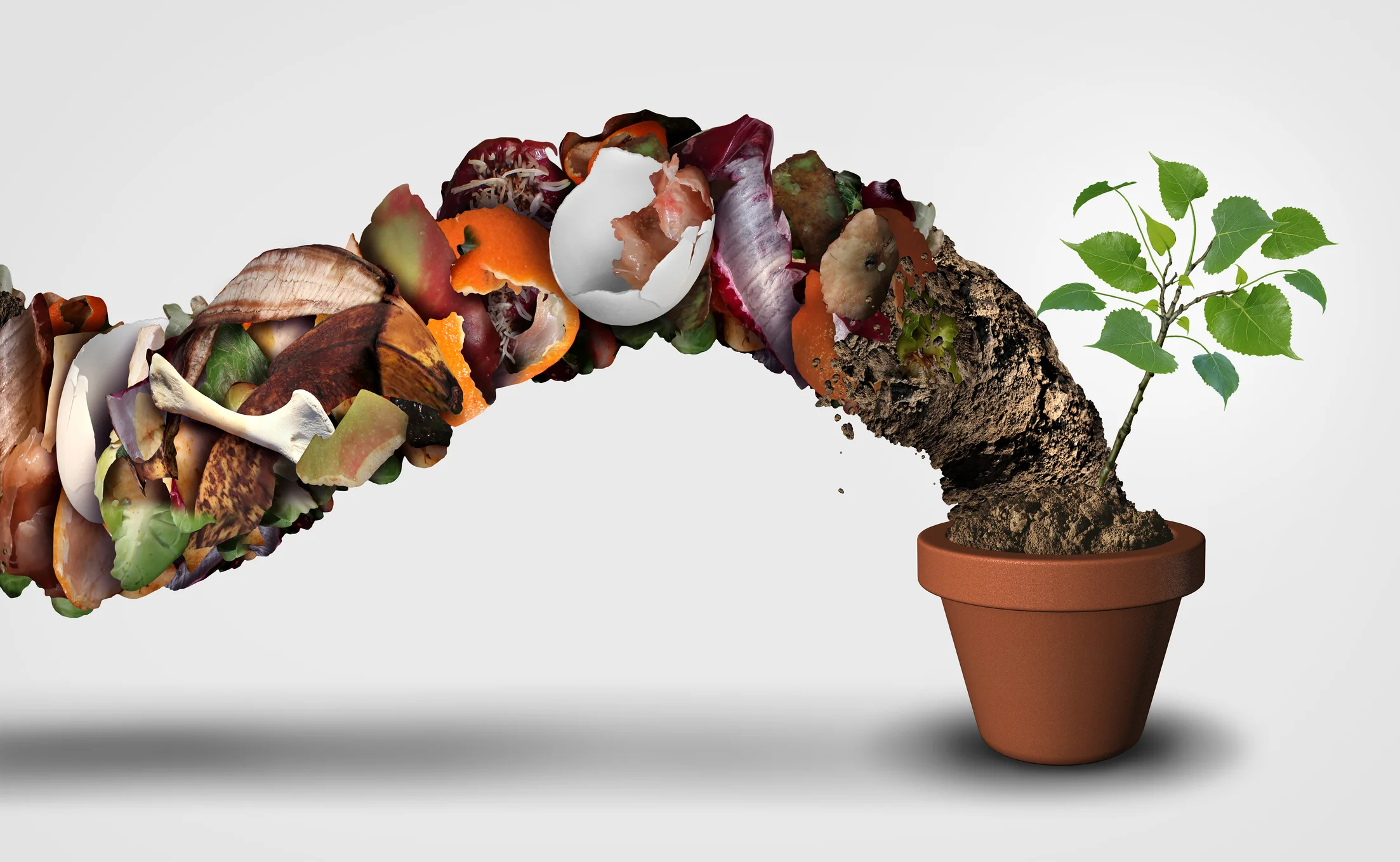 Tips_7_compost.jpg