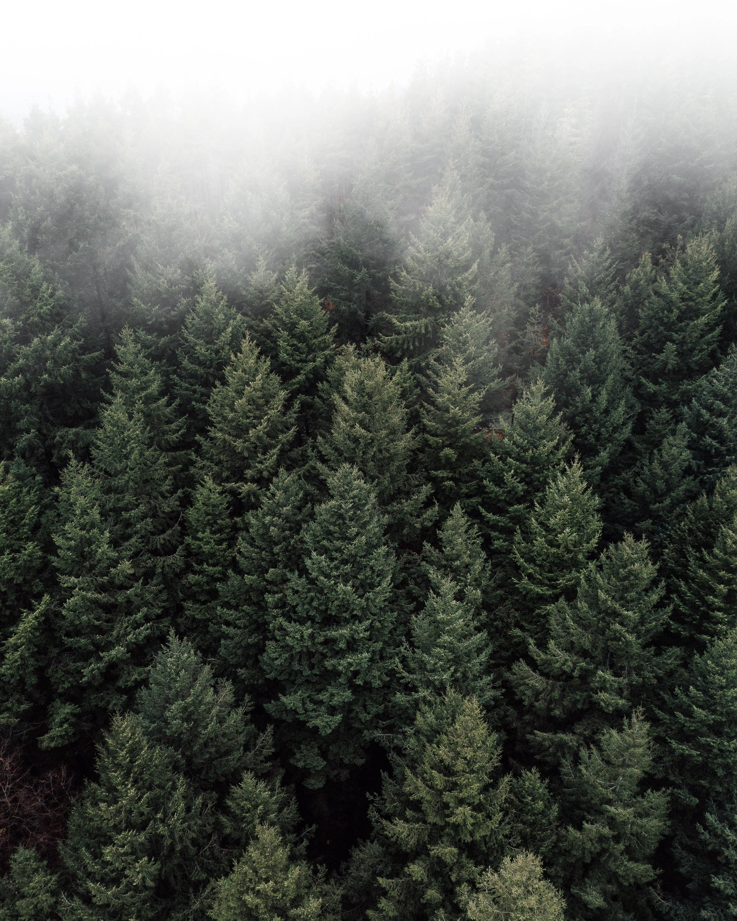 MPI World Education Congress 