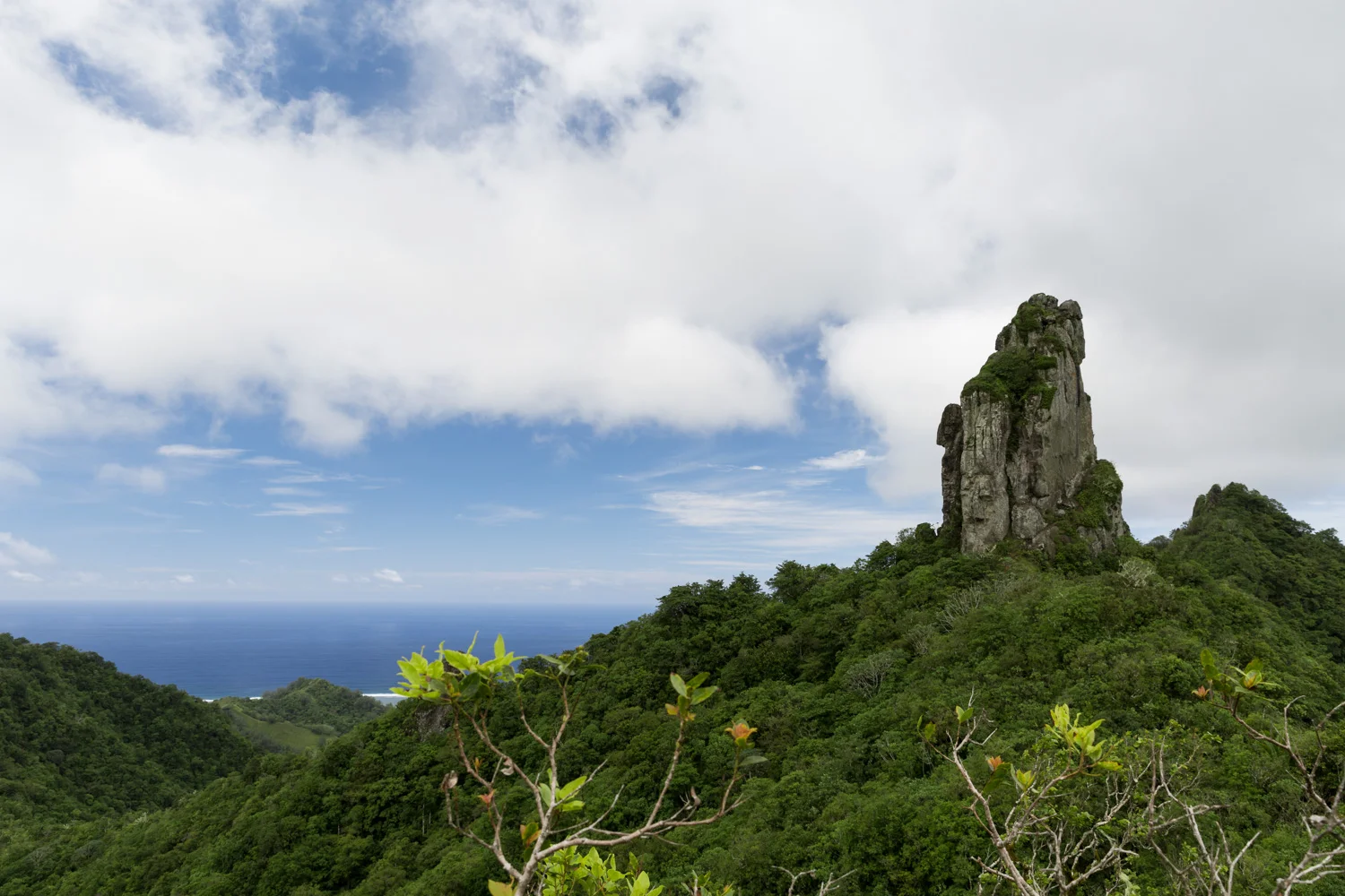 Te Rua Manga ('The Needle')