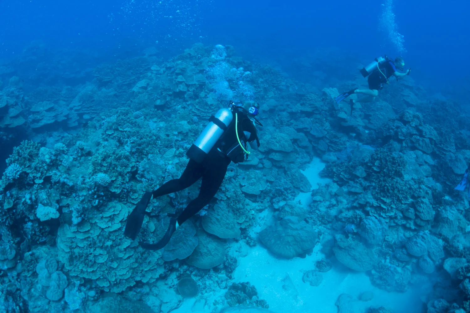Extensive coral cover and complexity
