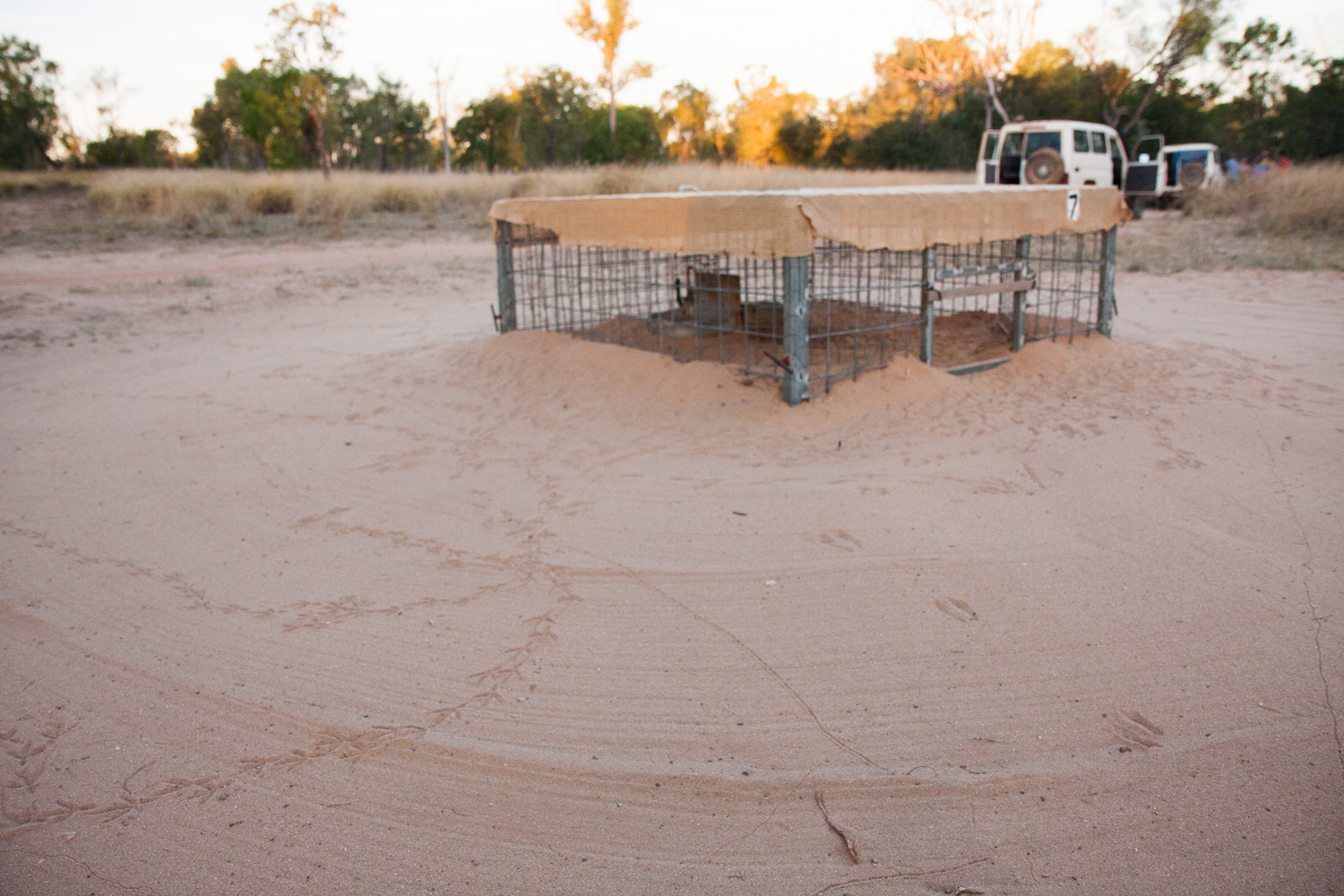 Water and feed stations are set up for the wombats. Clearly other animals enjoy them too.